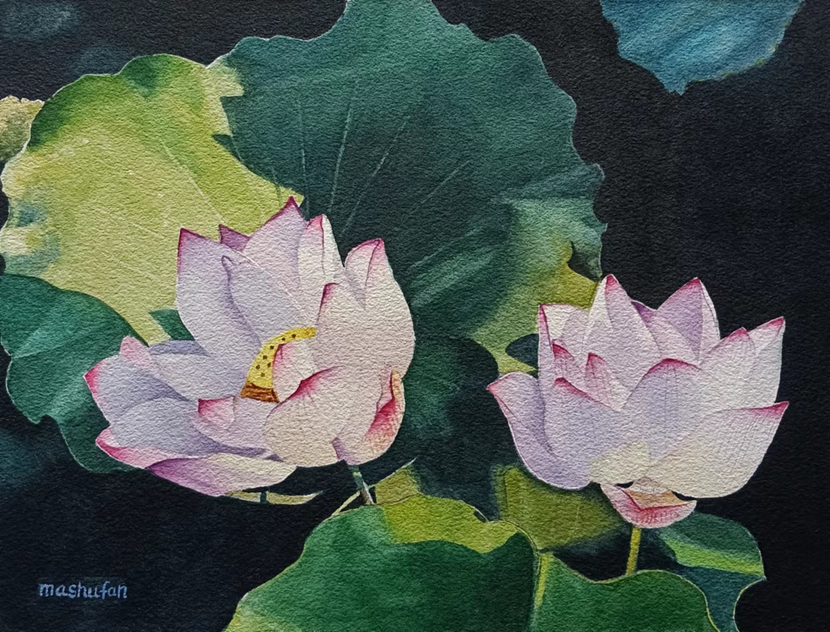 《清纯姐妹花》-29×39cm-静物-2023