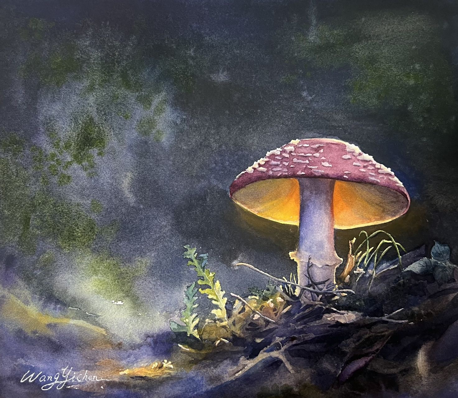 《小蘑菇》-  24×26cm-其他类-2023
