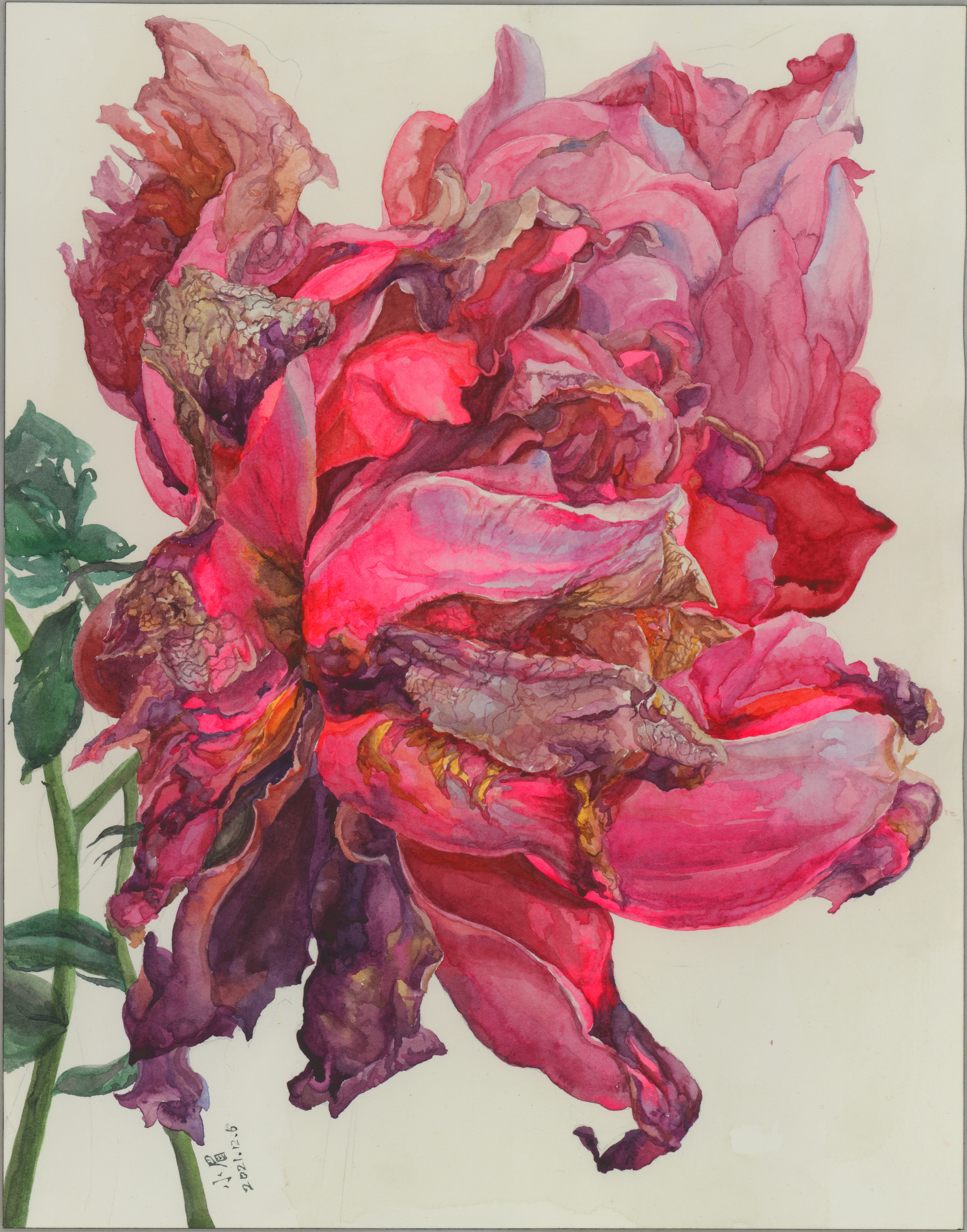 《初冬的玫瑰》-35.8×28cm-静物-2023