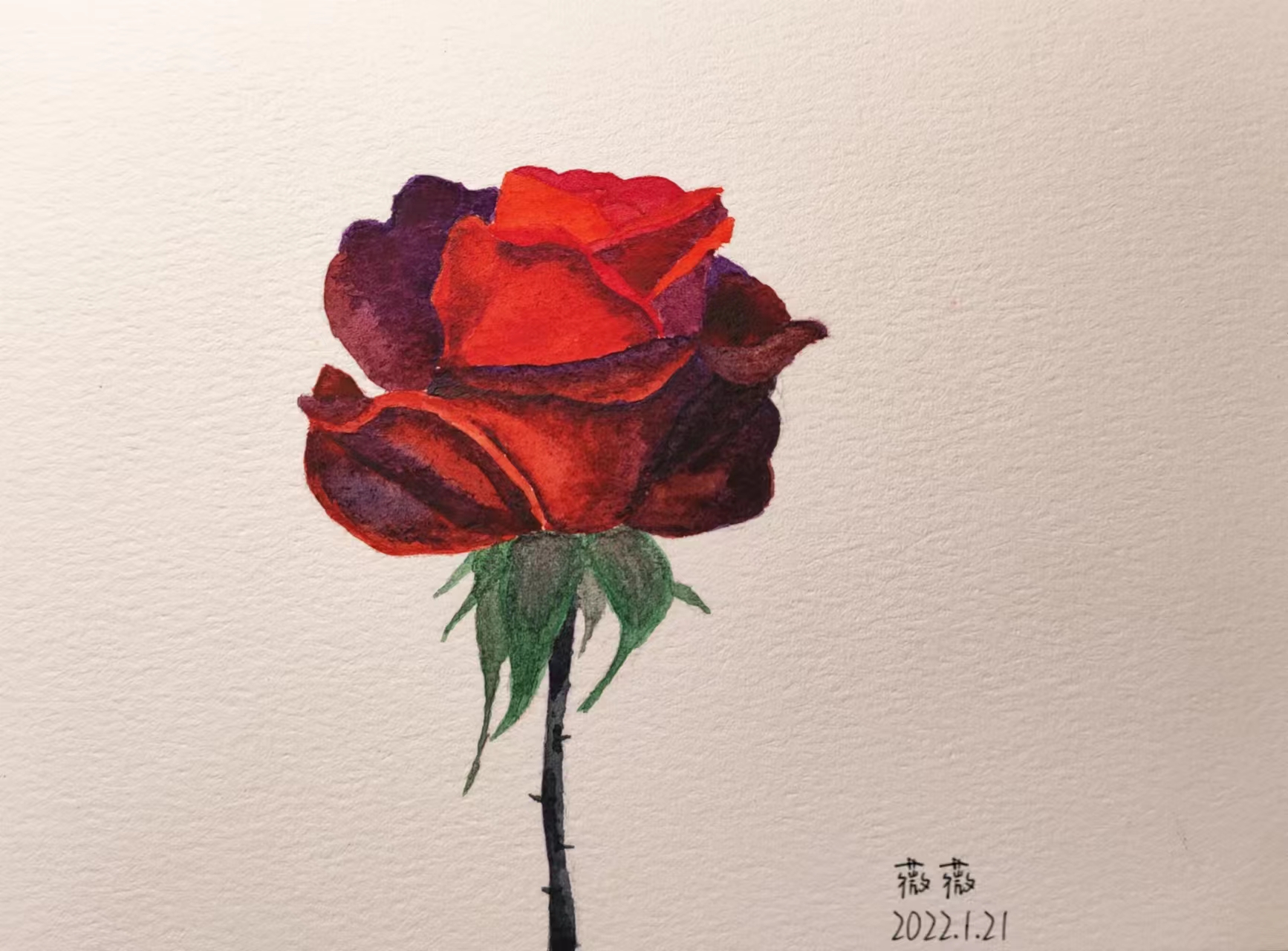 《遇见玫瑰》-12.5×18cm-静物-2023