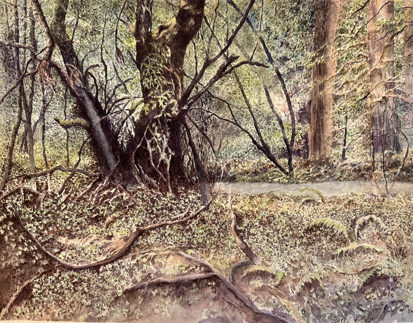 《红木林》-28×36cm-风景-2023