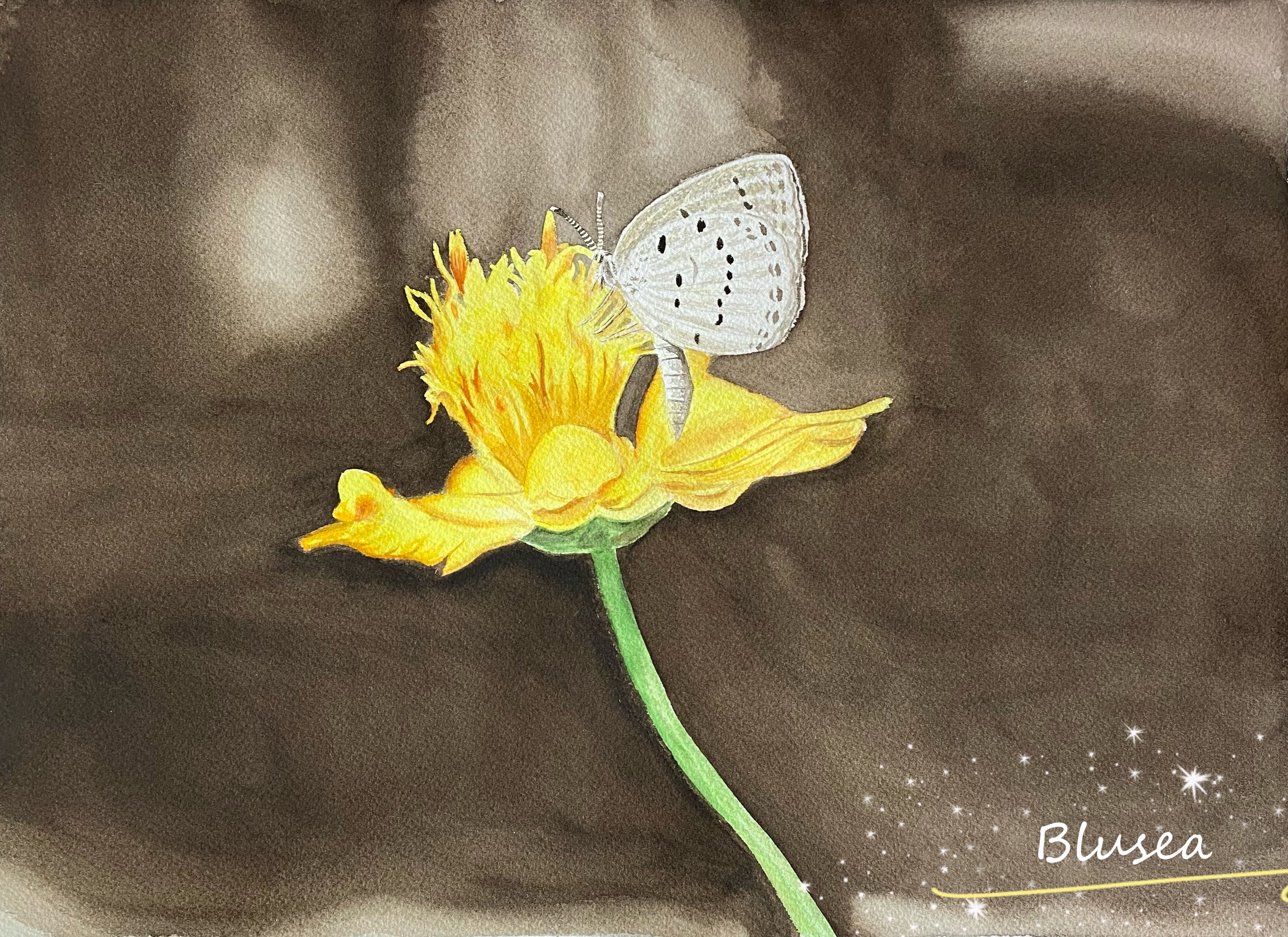 《蝶与花》-26×37cm-静物-2023