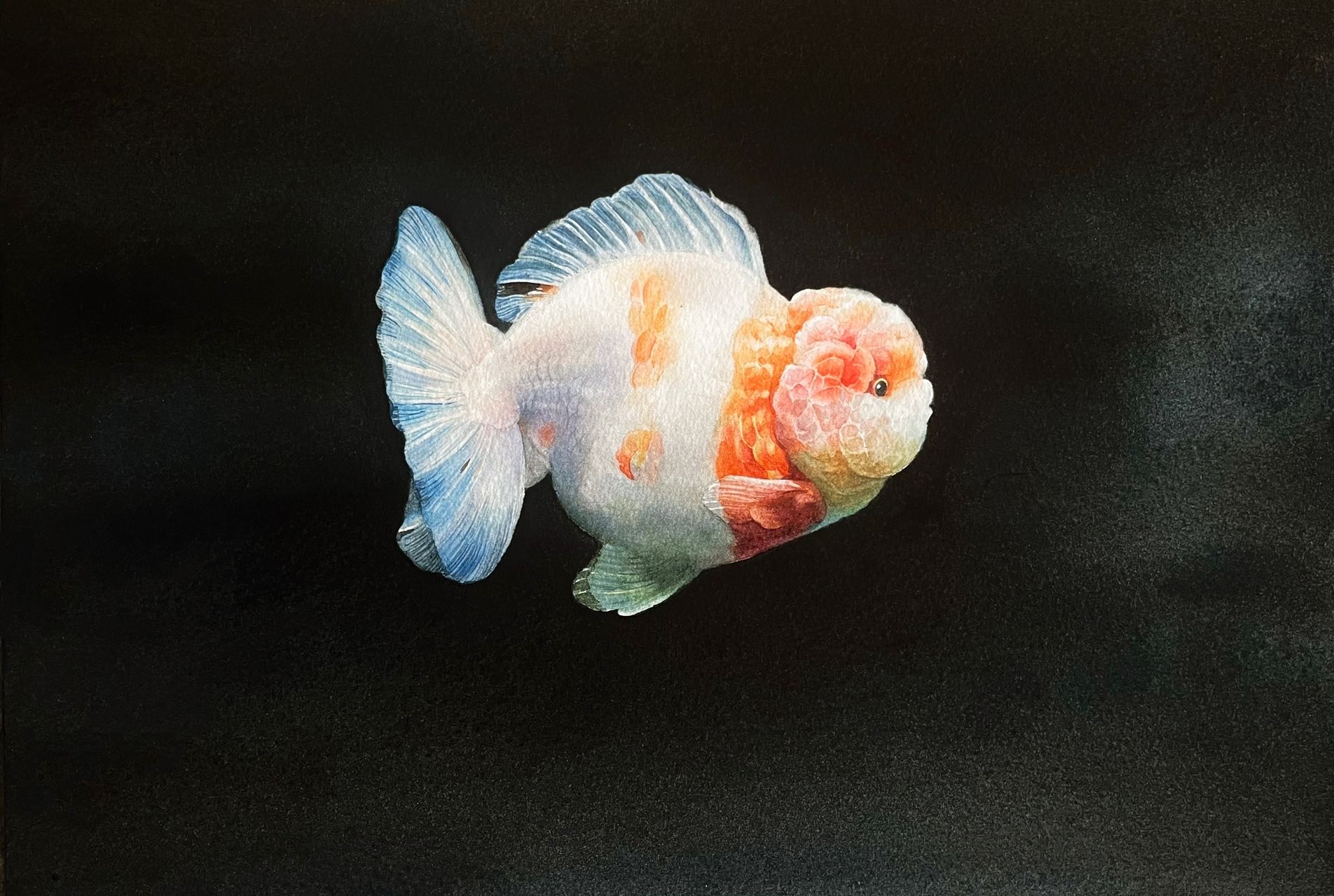 《游》-36.5×47cm-动物-2023