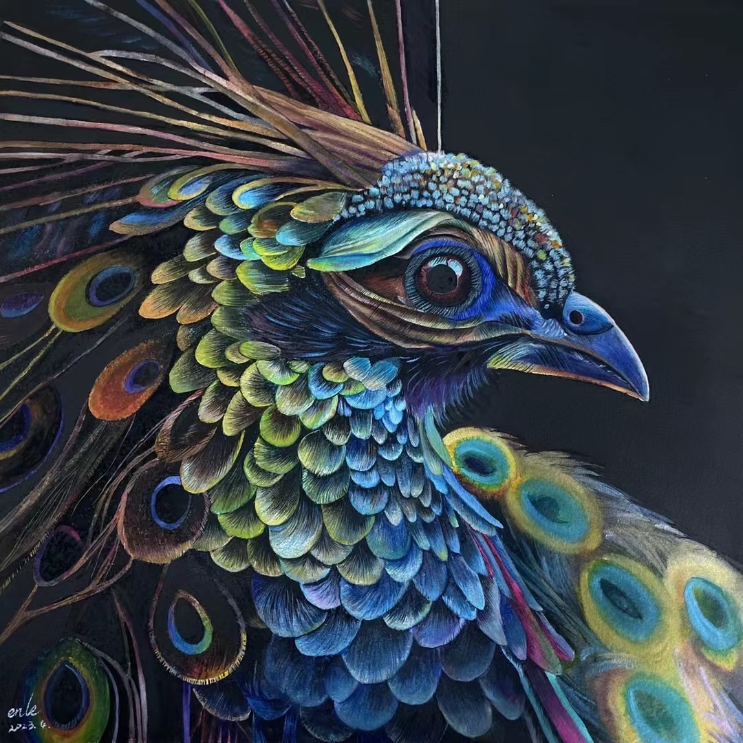 《孔雀的传说》-38×38cm-动物-2023
