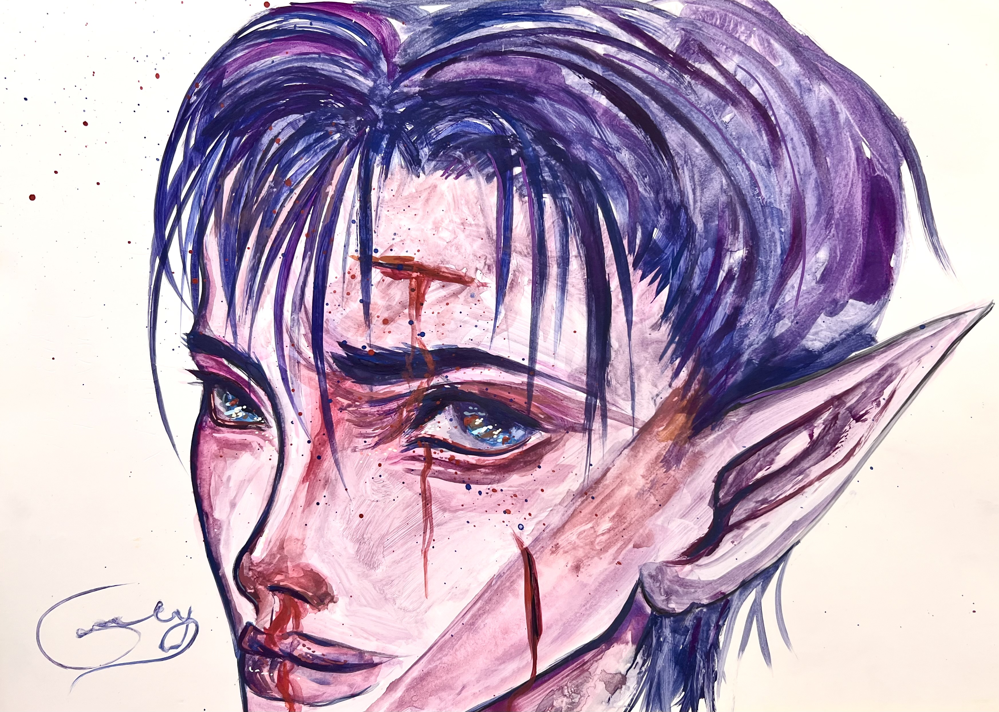 THE ELF BOY