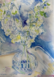    	 Orchids