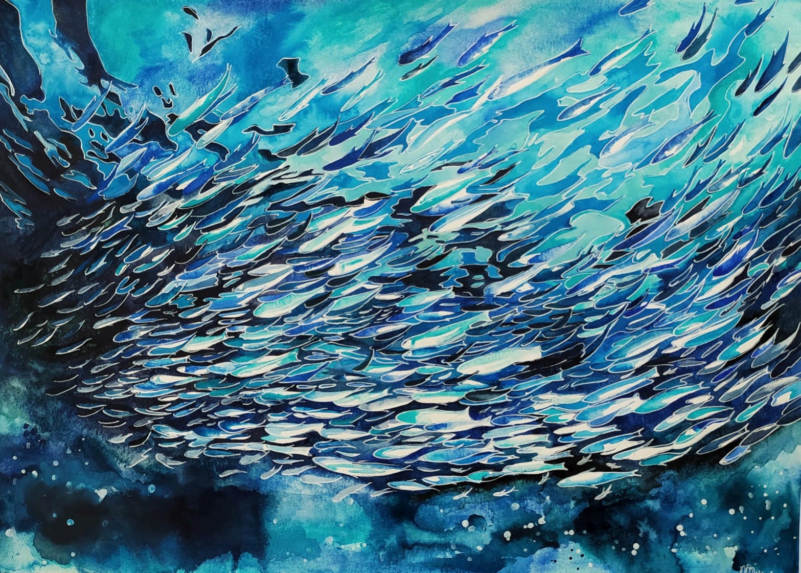 The dance of the anchovies