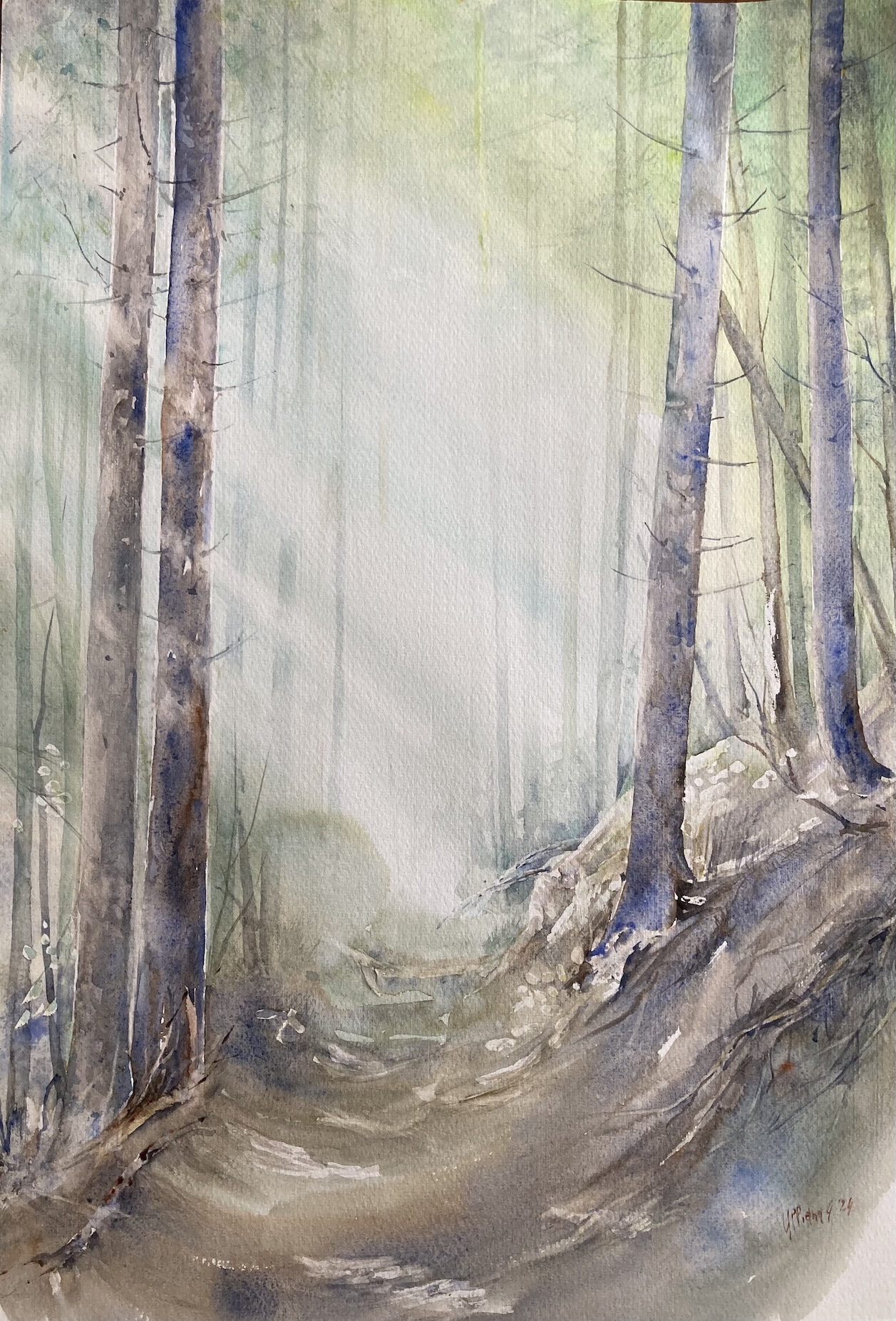 Light in the woods