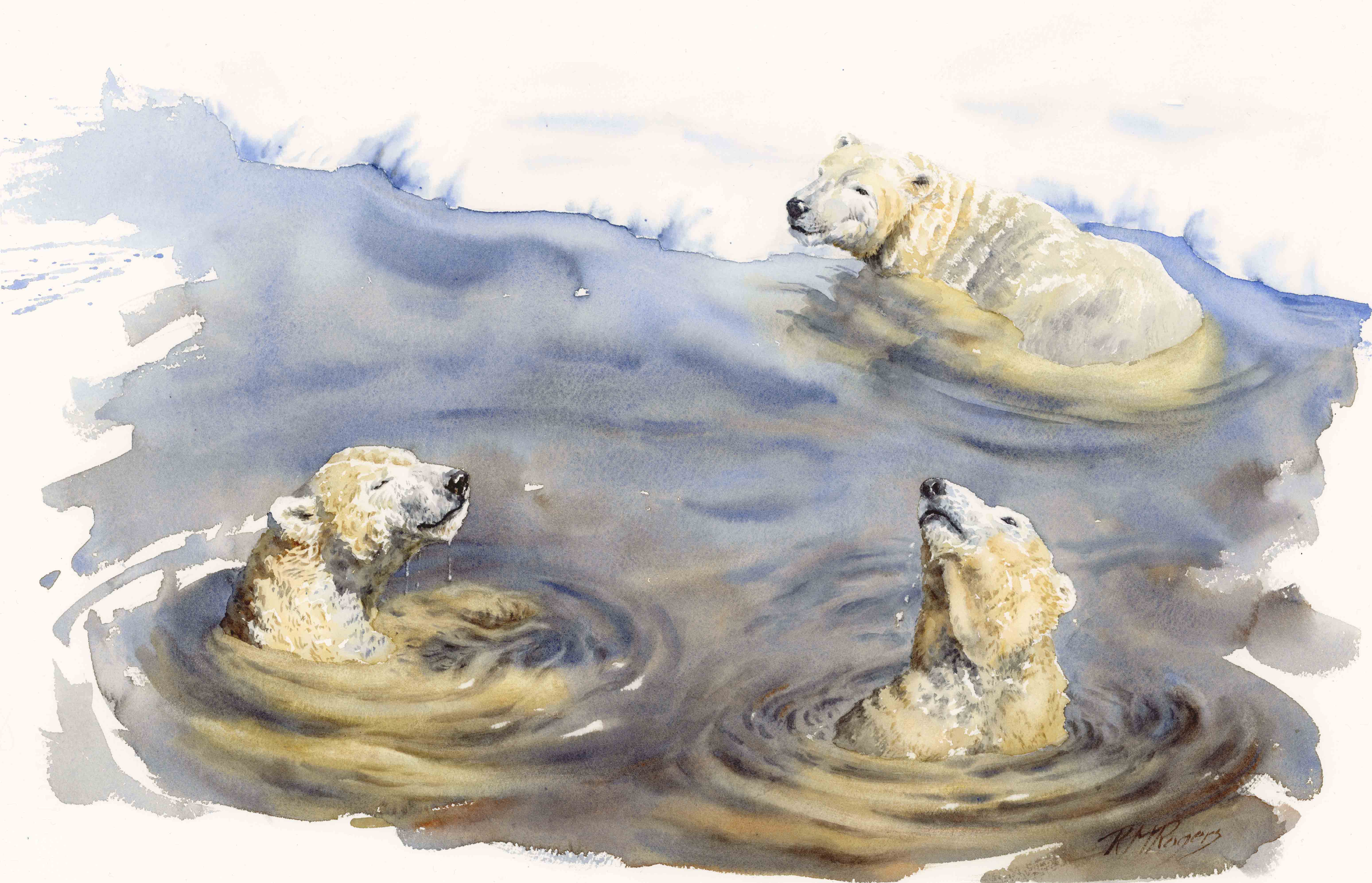 Bears at Play