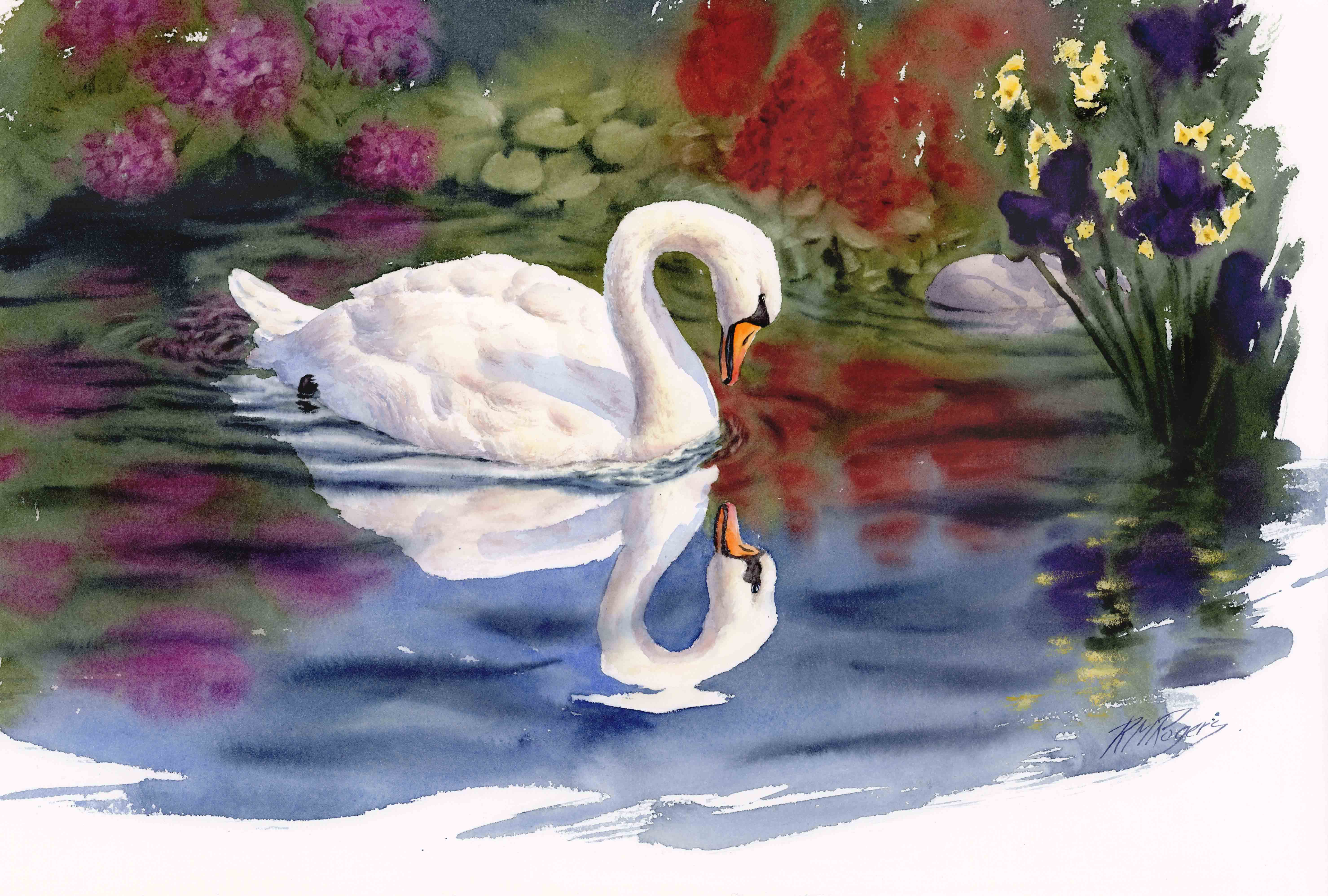   Narcissus