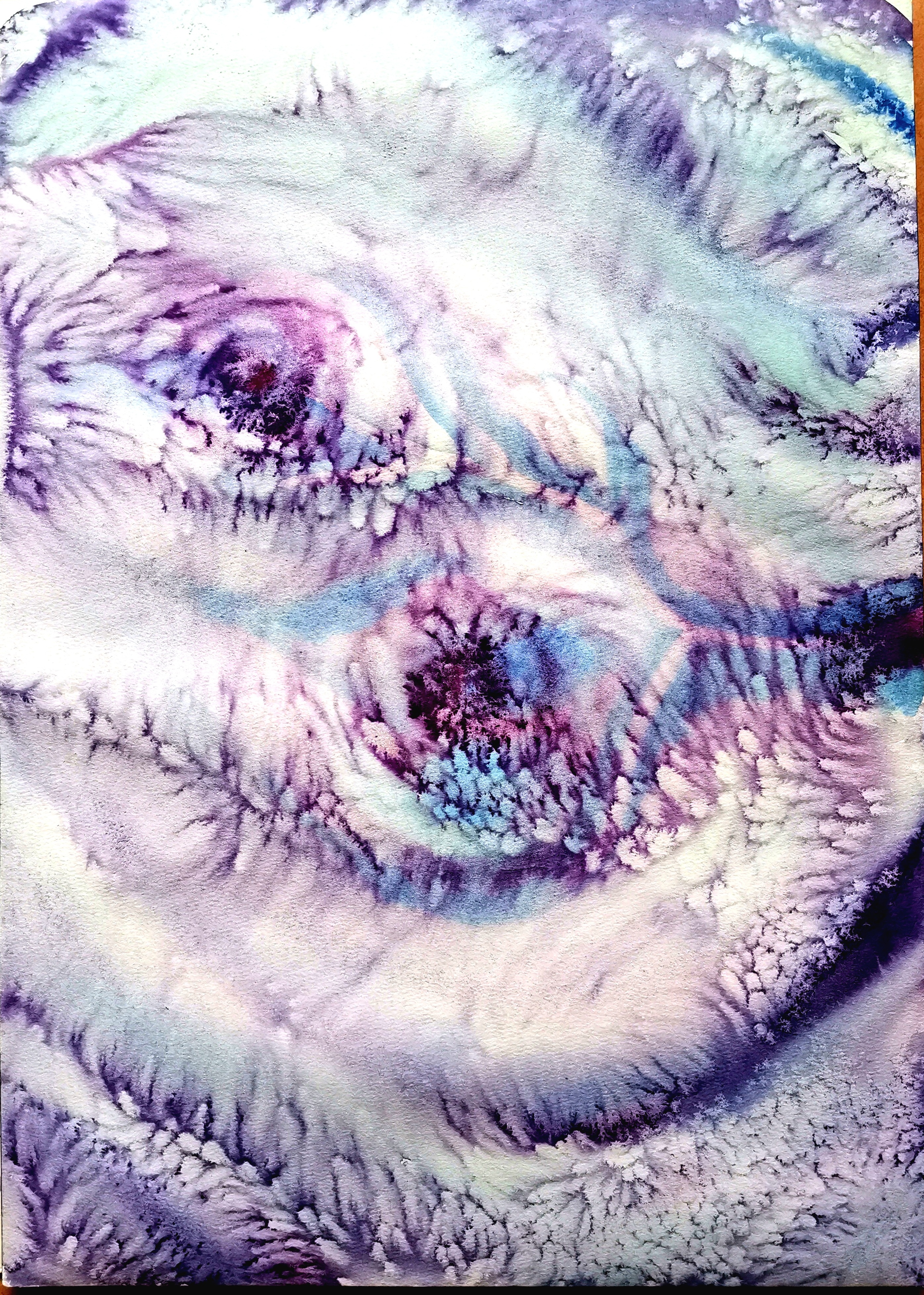 幻紫之眸