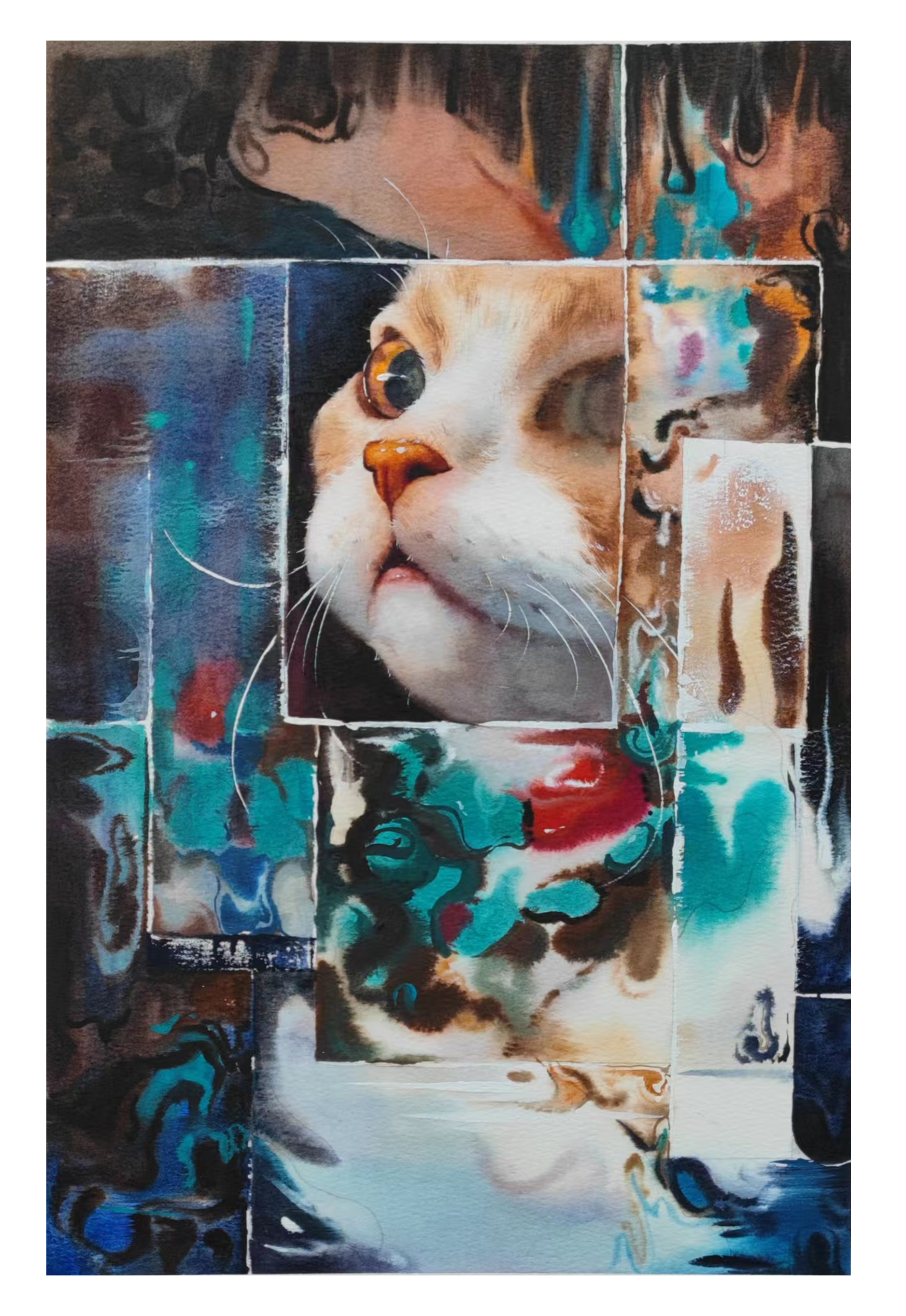 猫女士