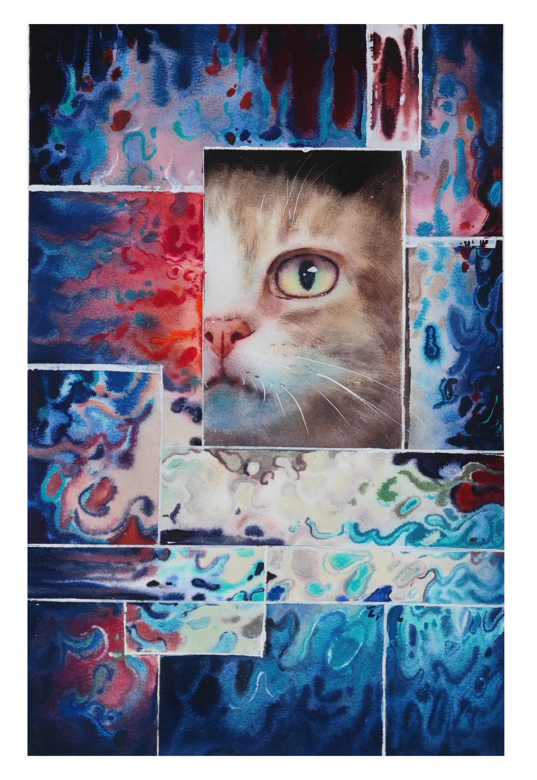 猫先生