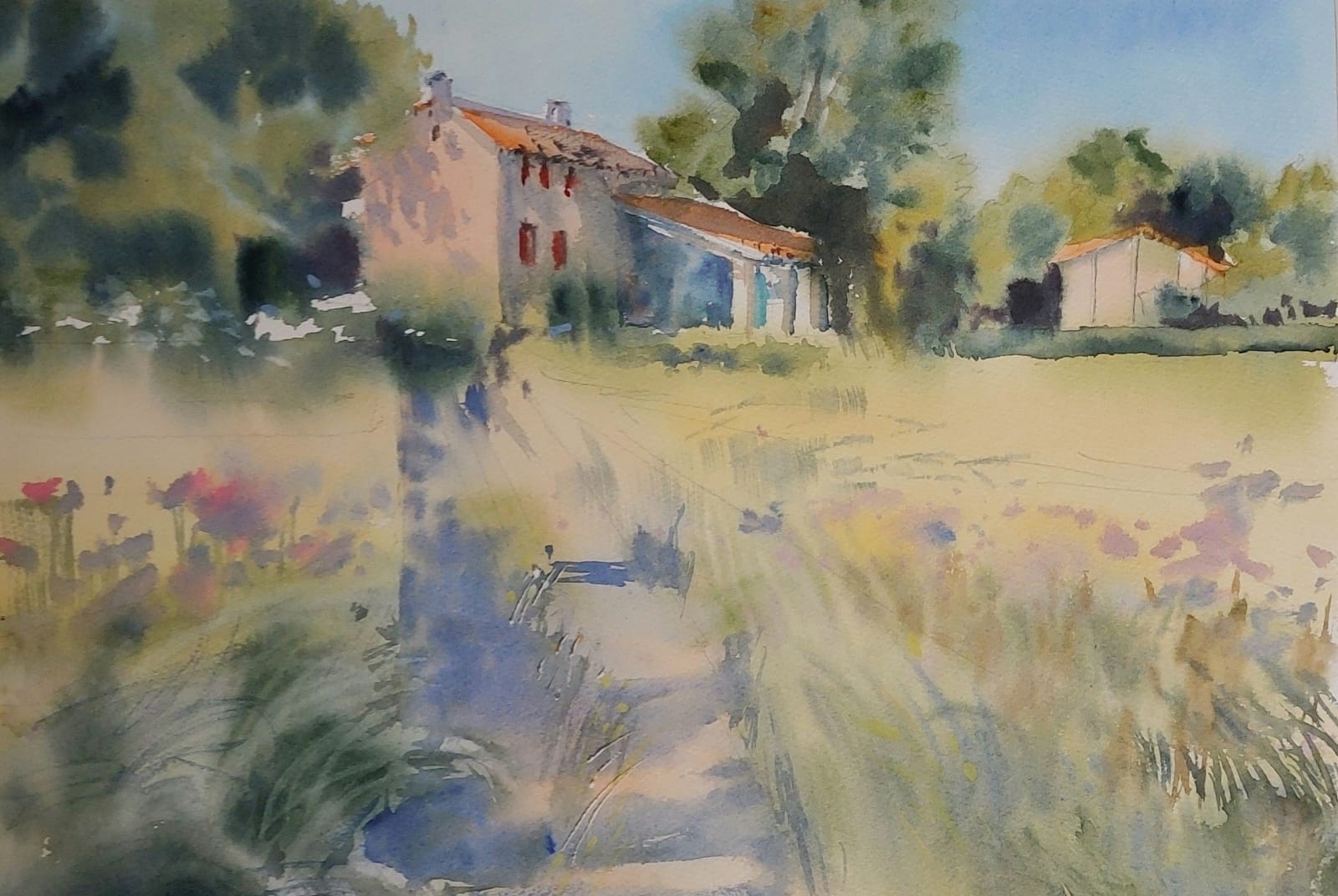 ESTATE IN CAMPAGNA 