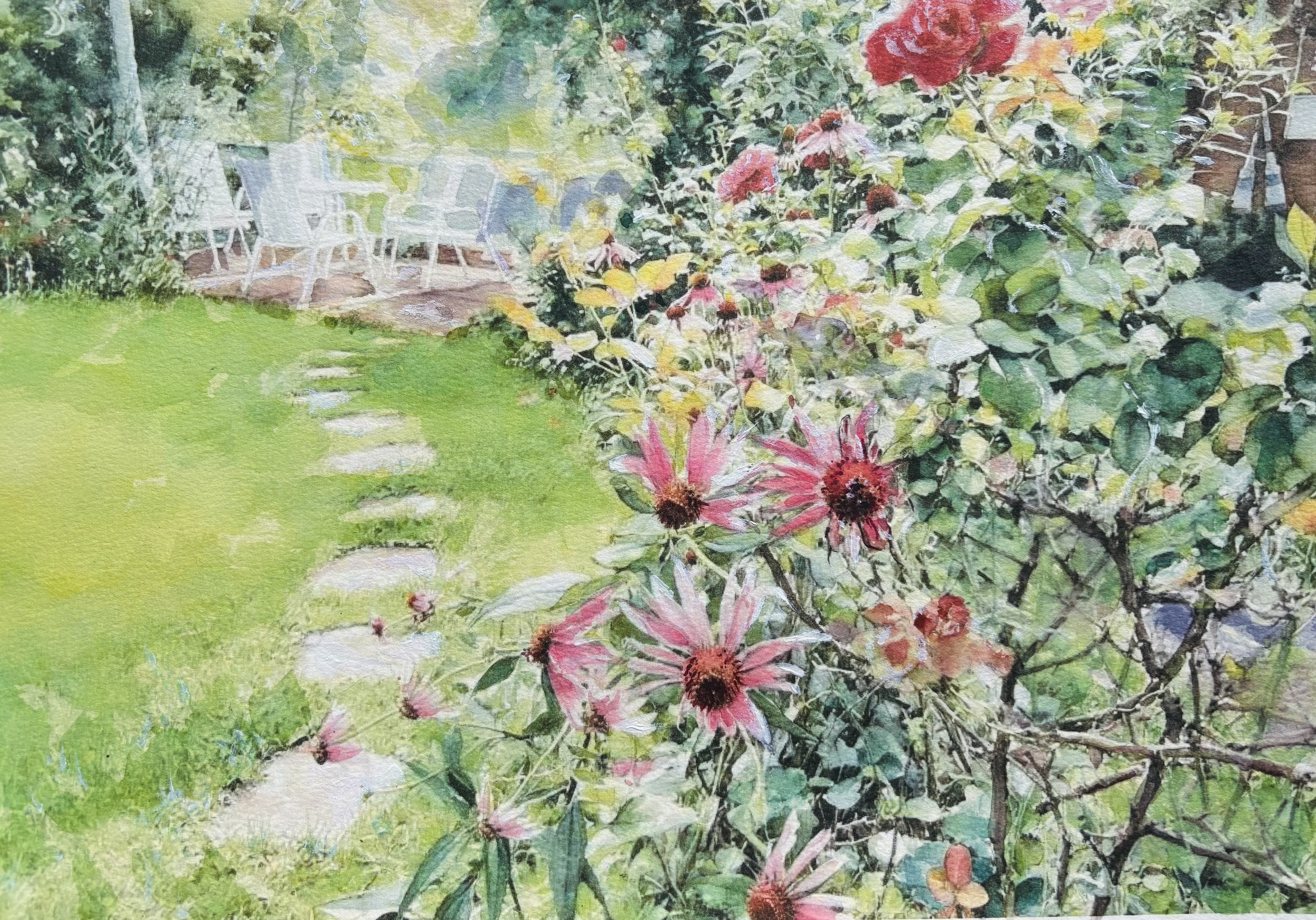 《我的花园一角》（松果菊及月季花）
