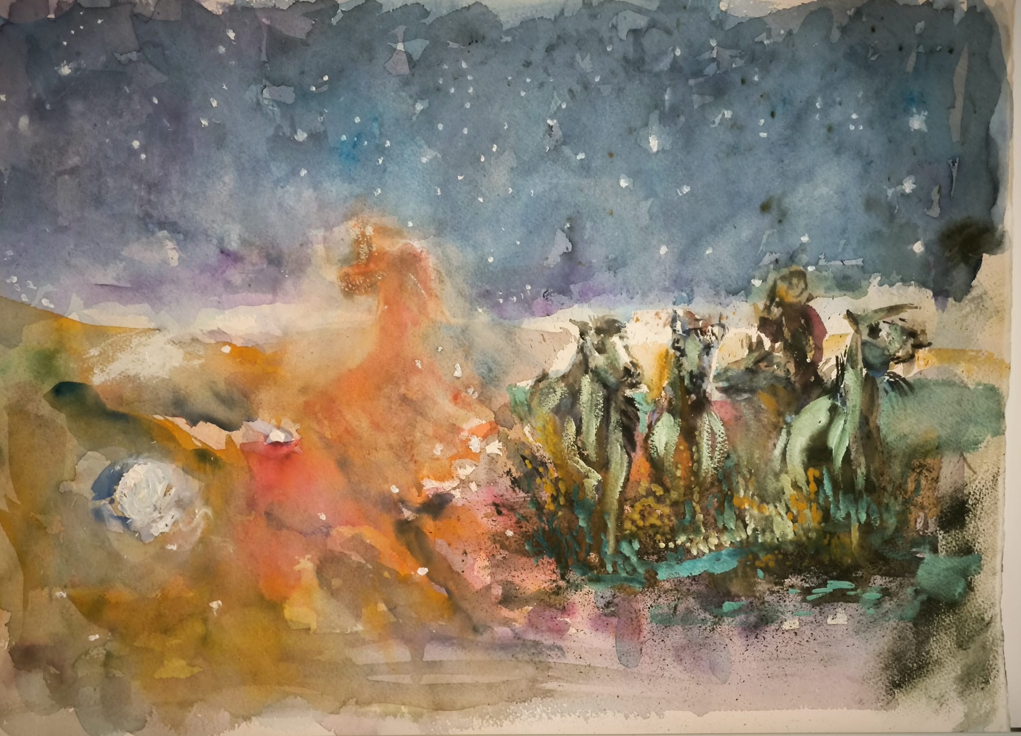 Cavalli fra le stelle