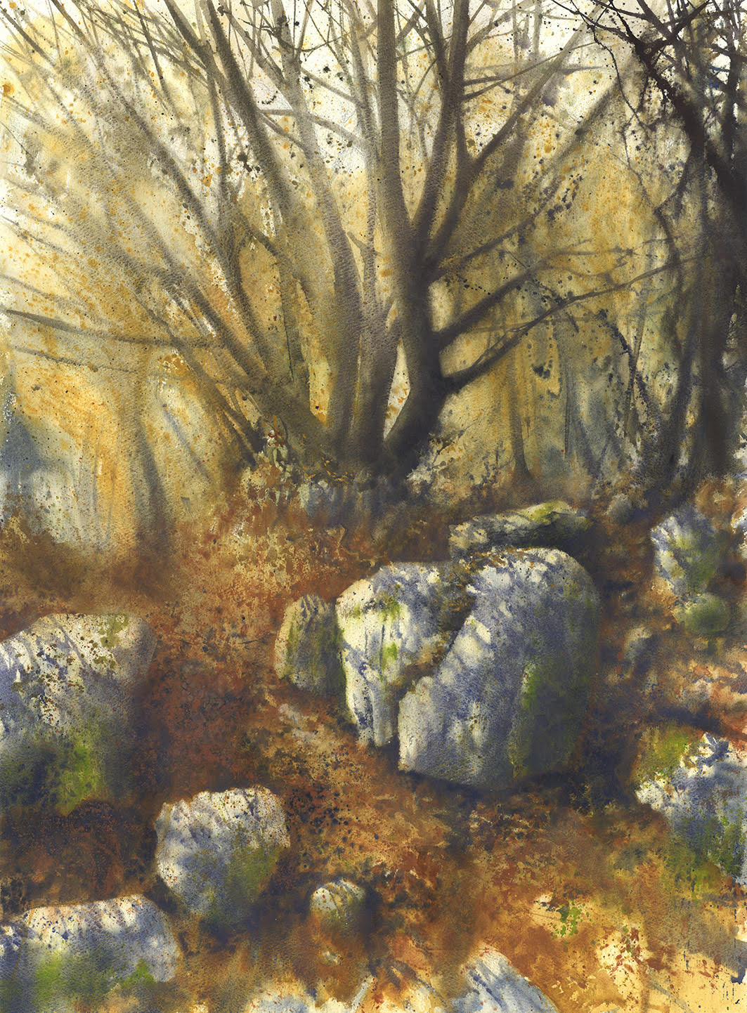 Autumn 
