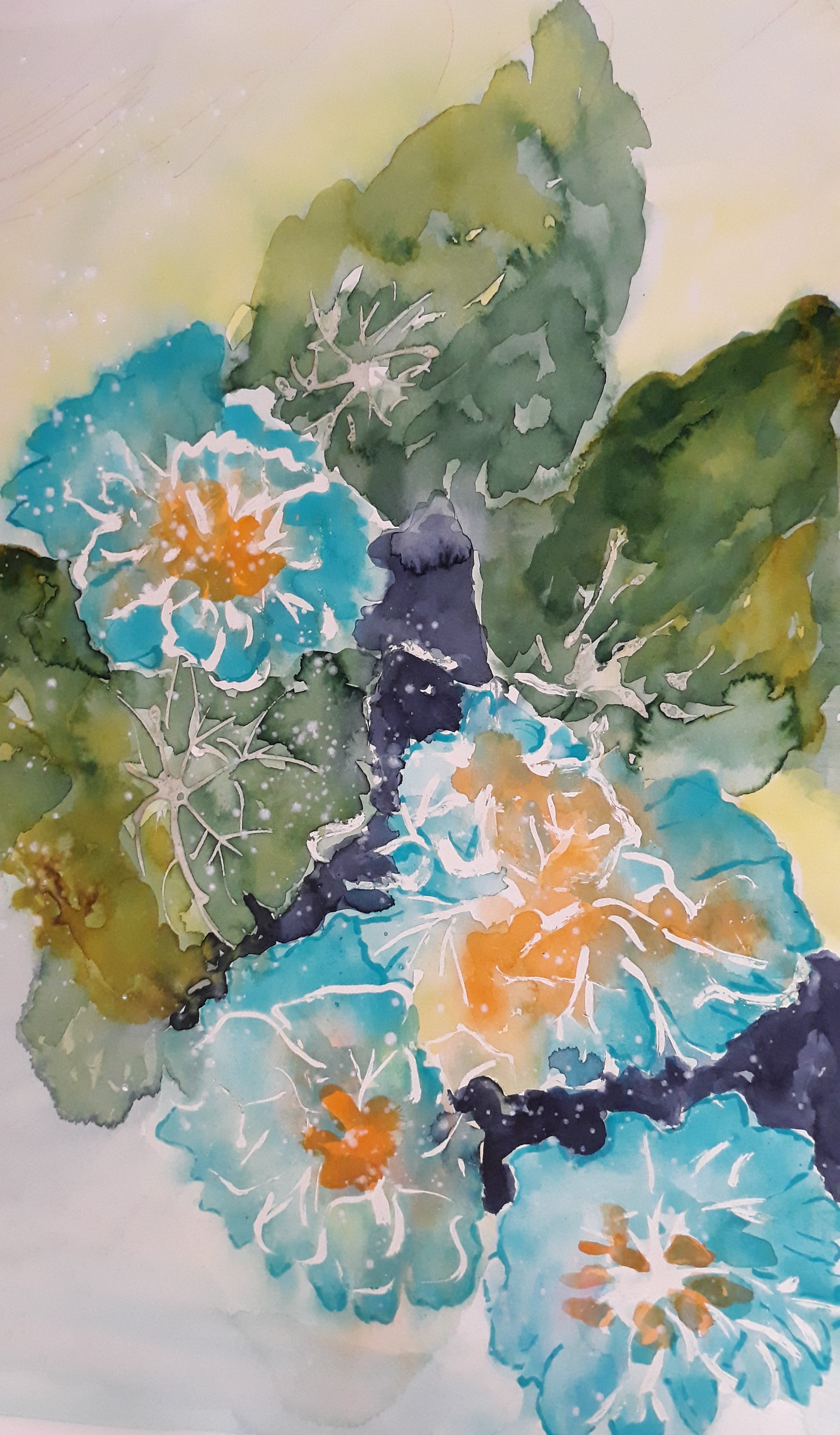 Cielo in fiore