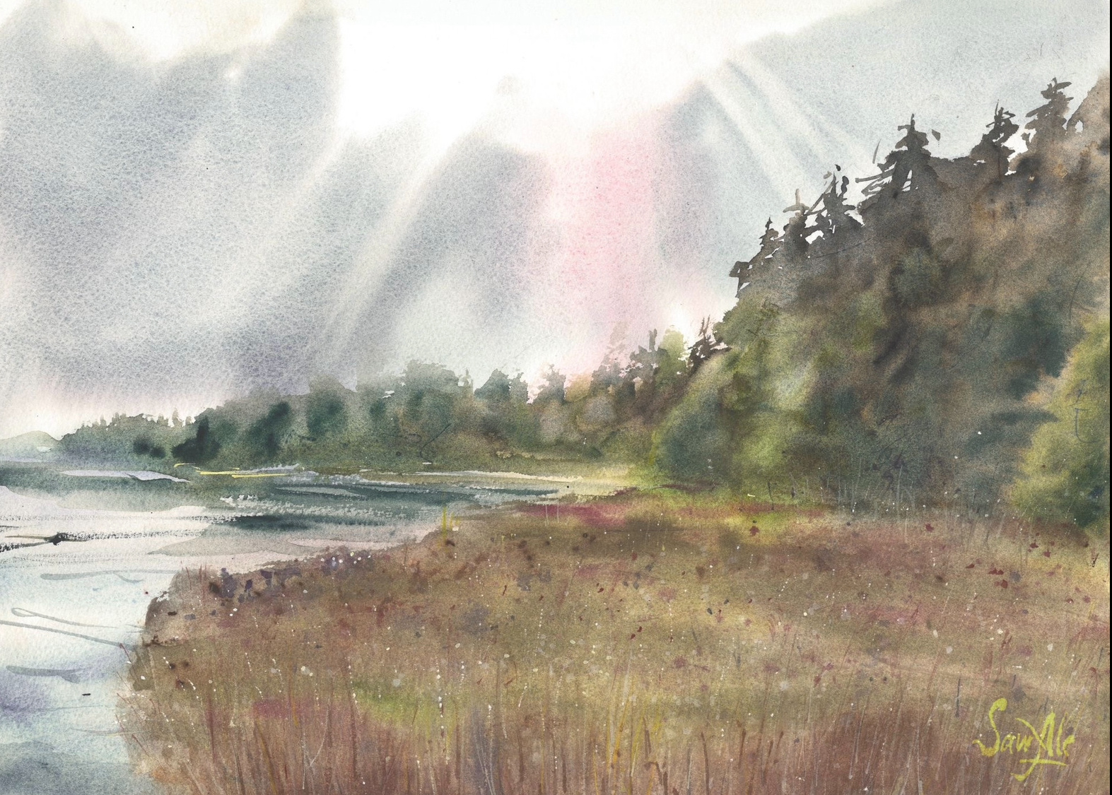 Northern Skies 
