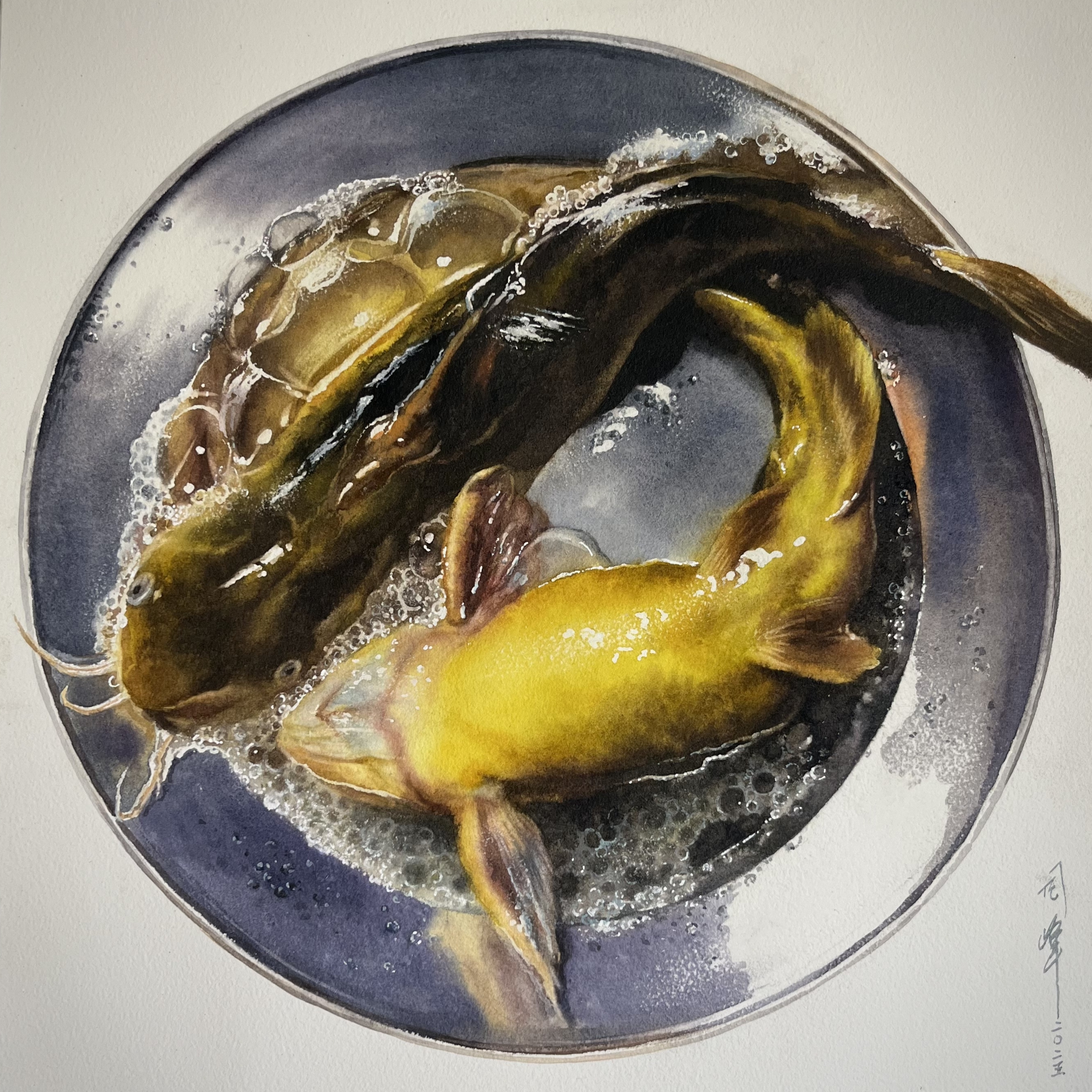 黄辣丁