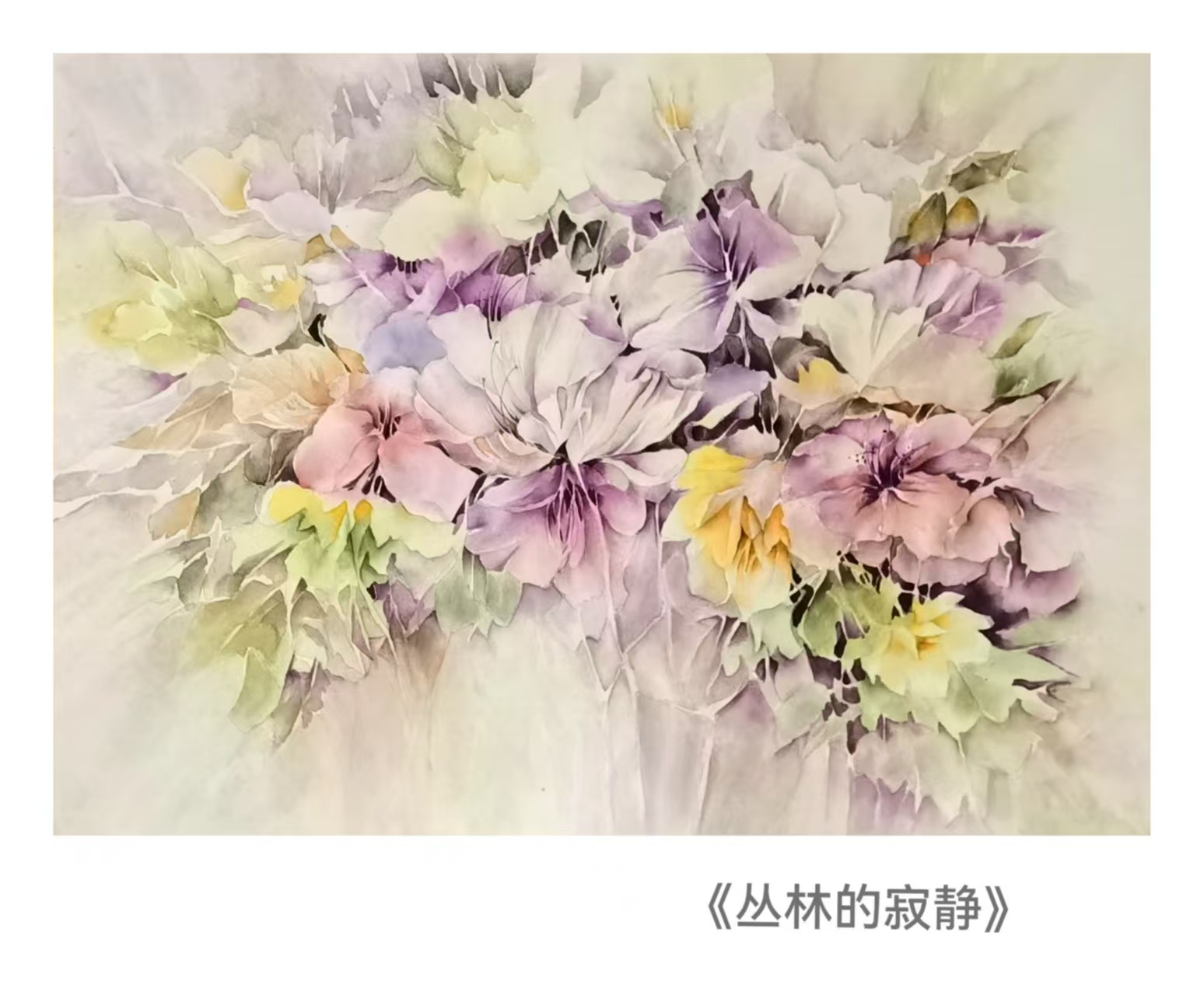 《丛林的寂静》