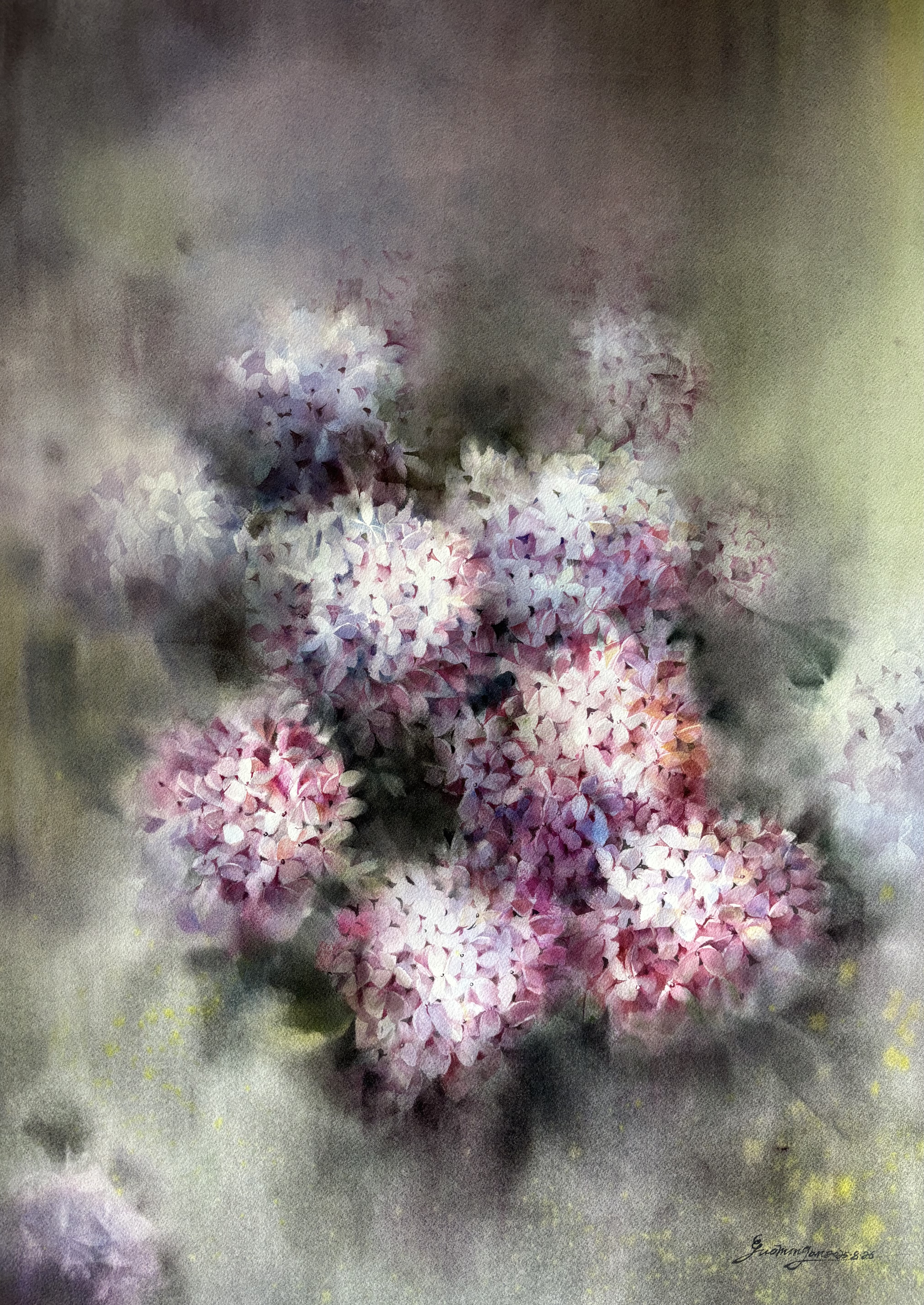 Blooms Bathed in Light/花沐