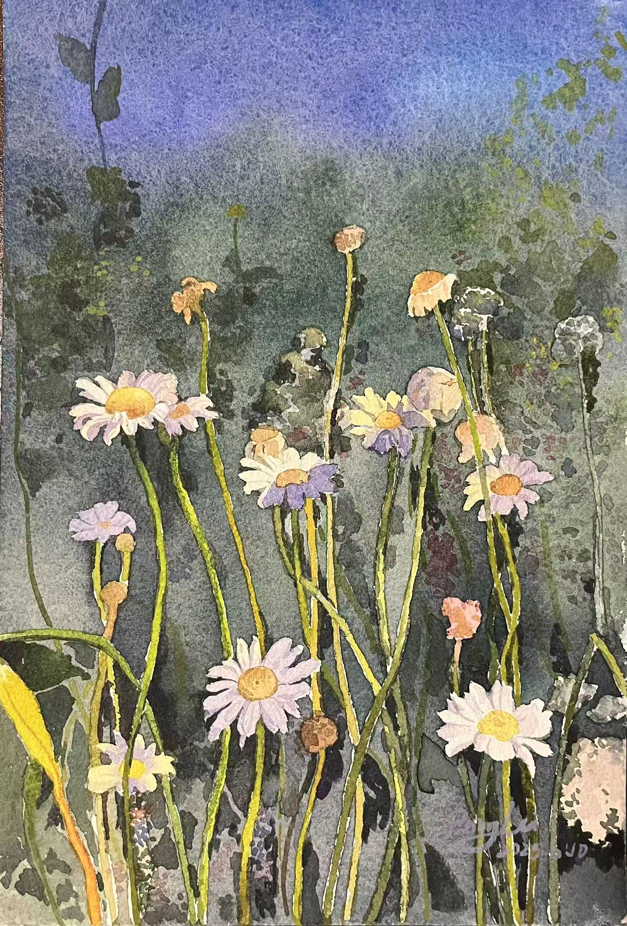 午后小雏菊