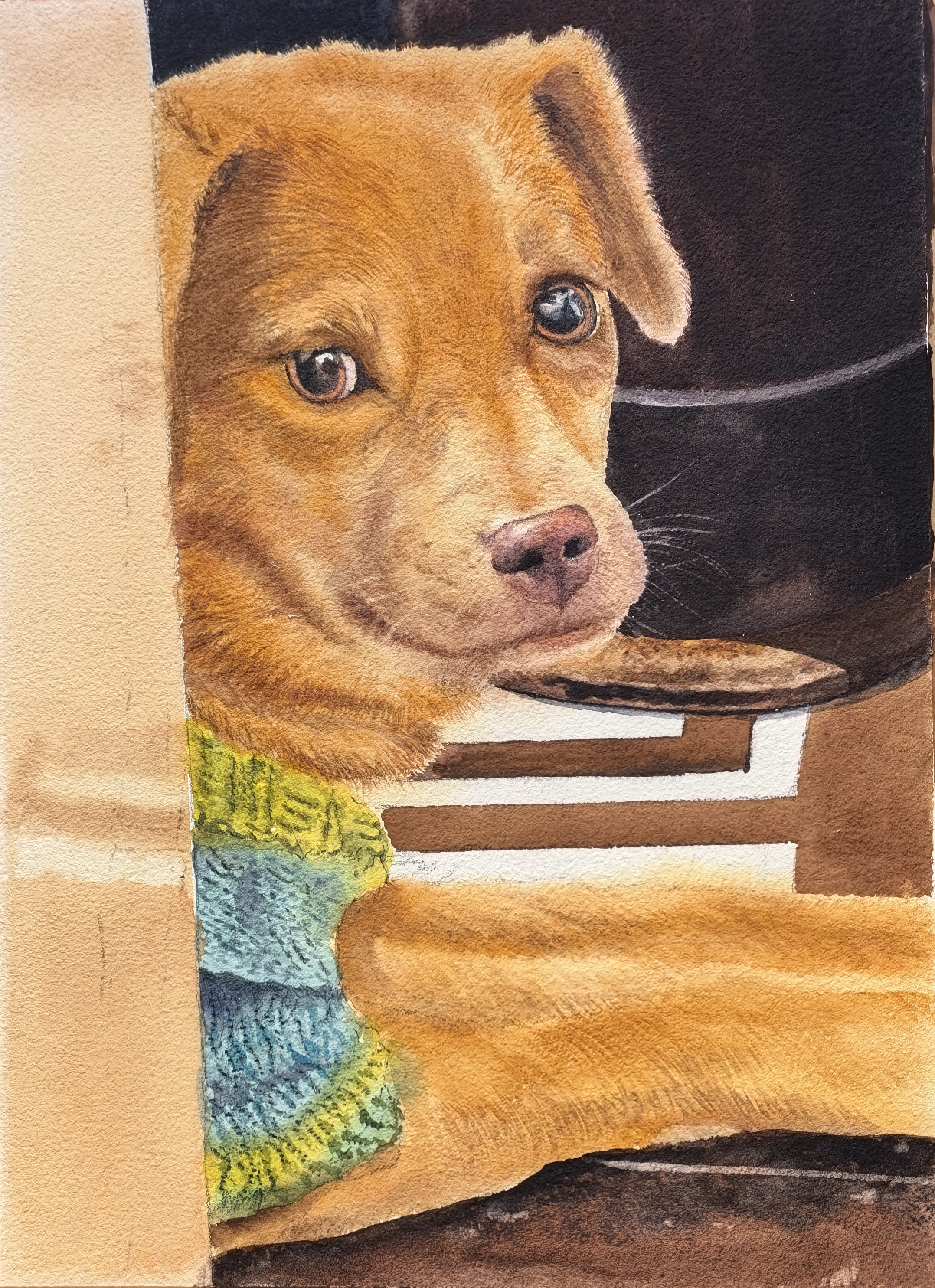Coco