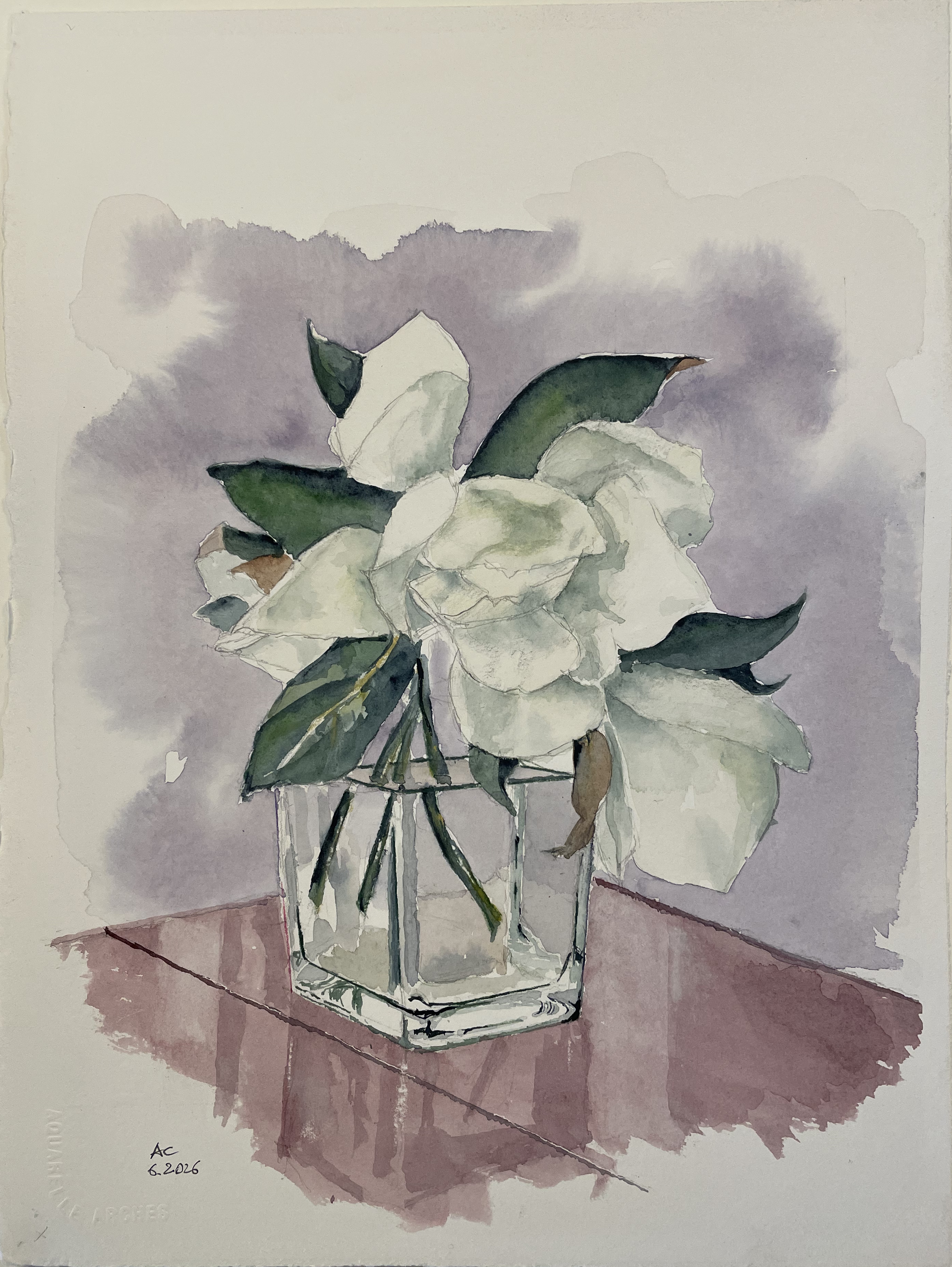 Magnolie in vaso di vetro