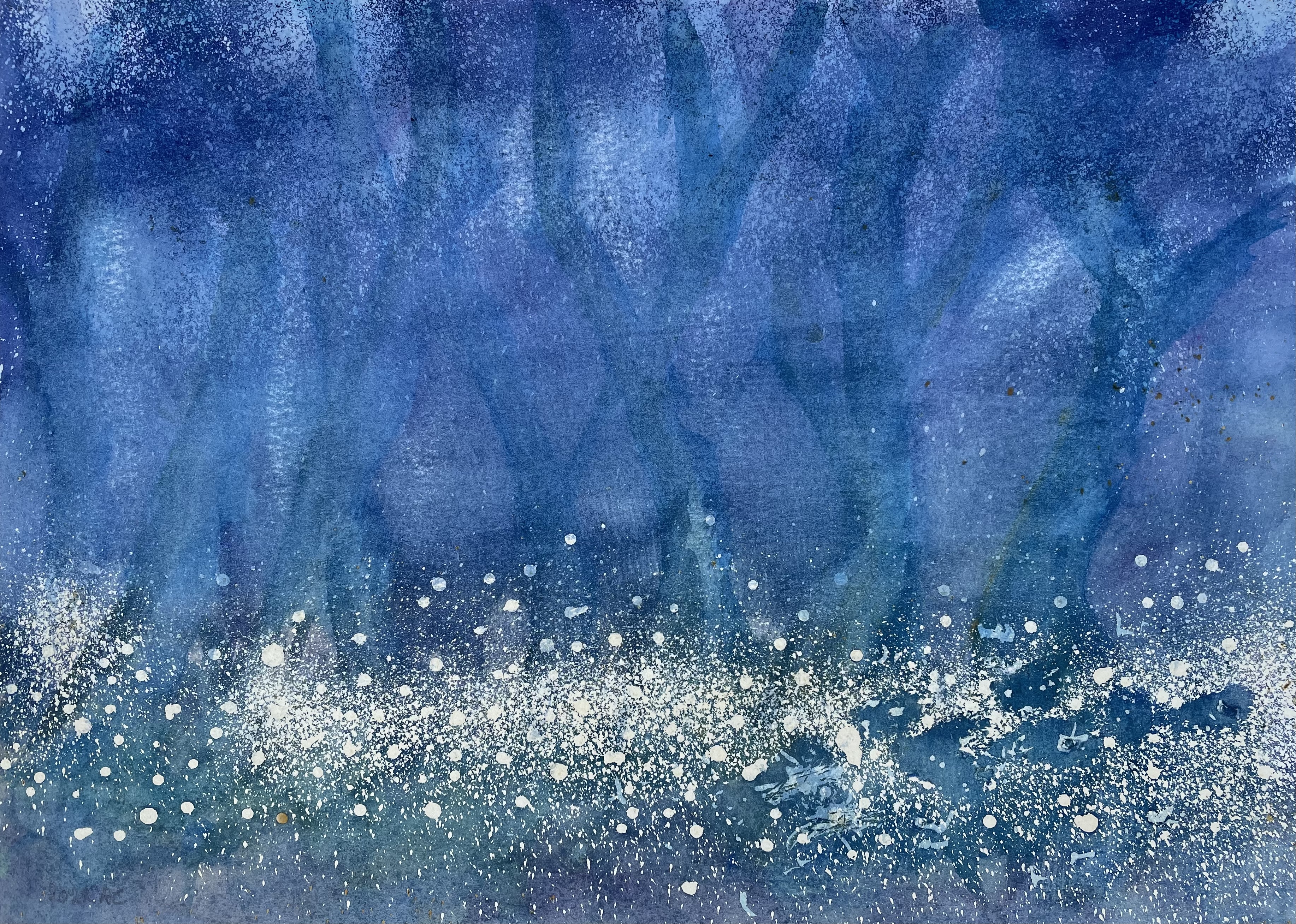 Il bosco delle lucciole