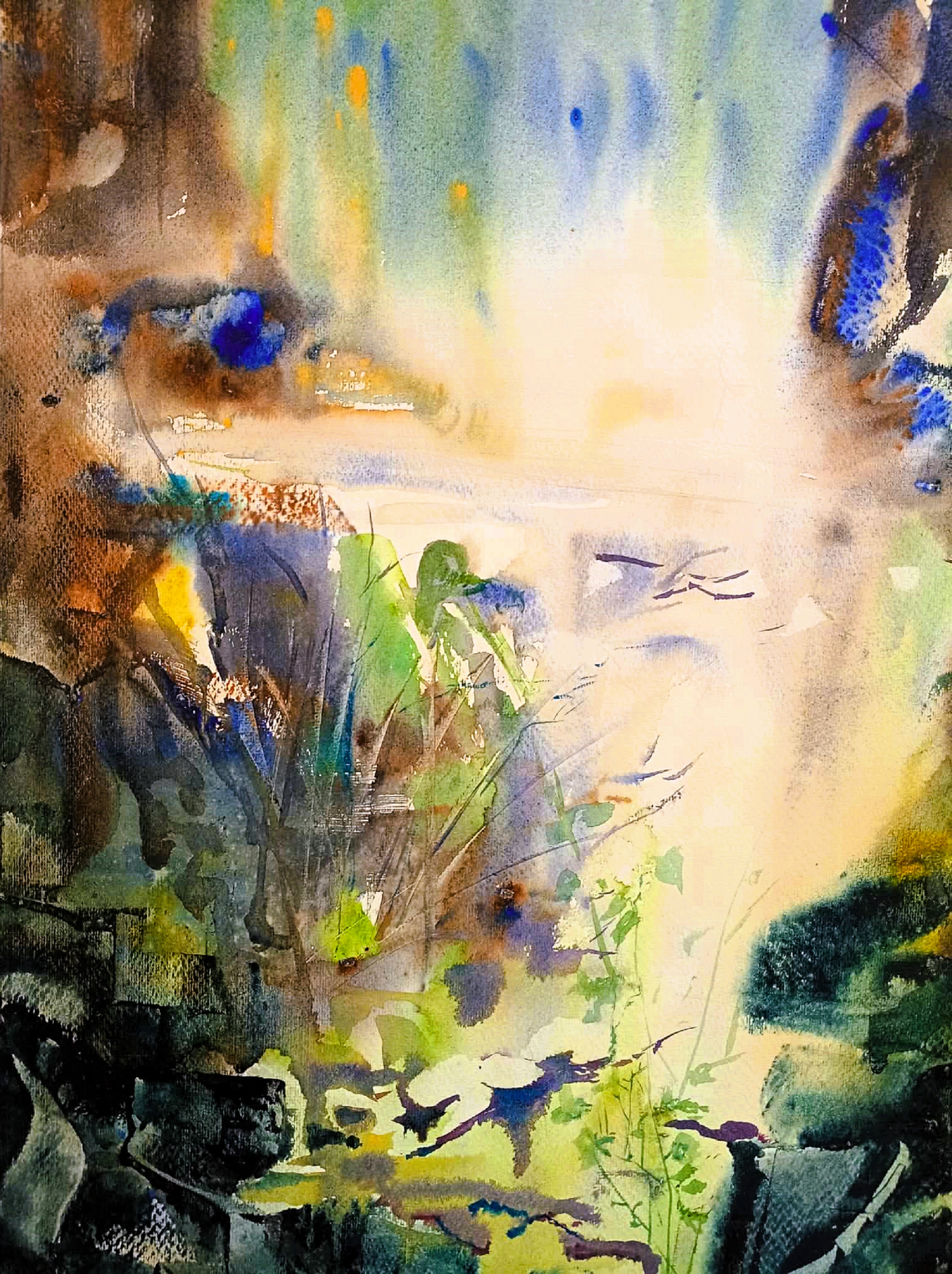 Luce