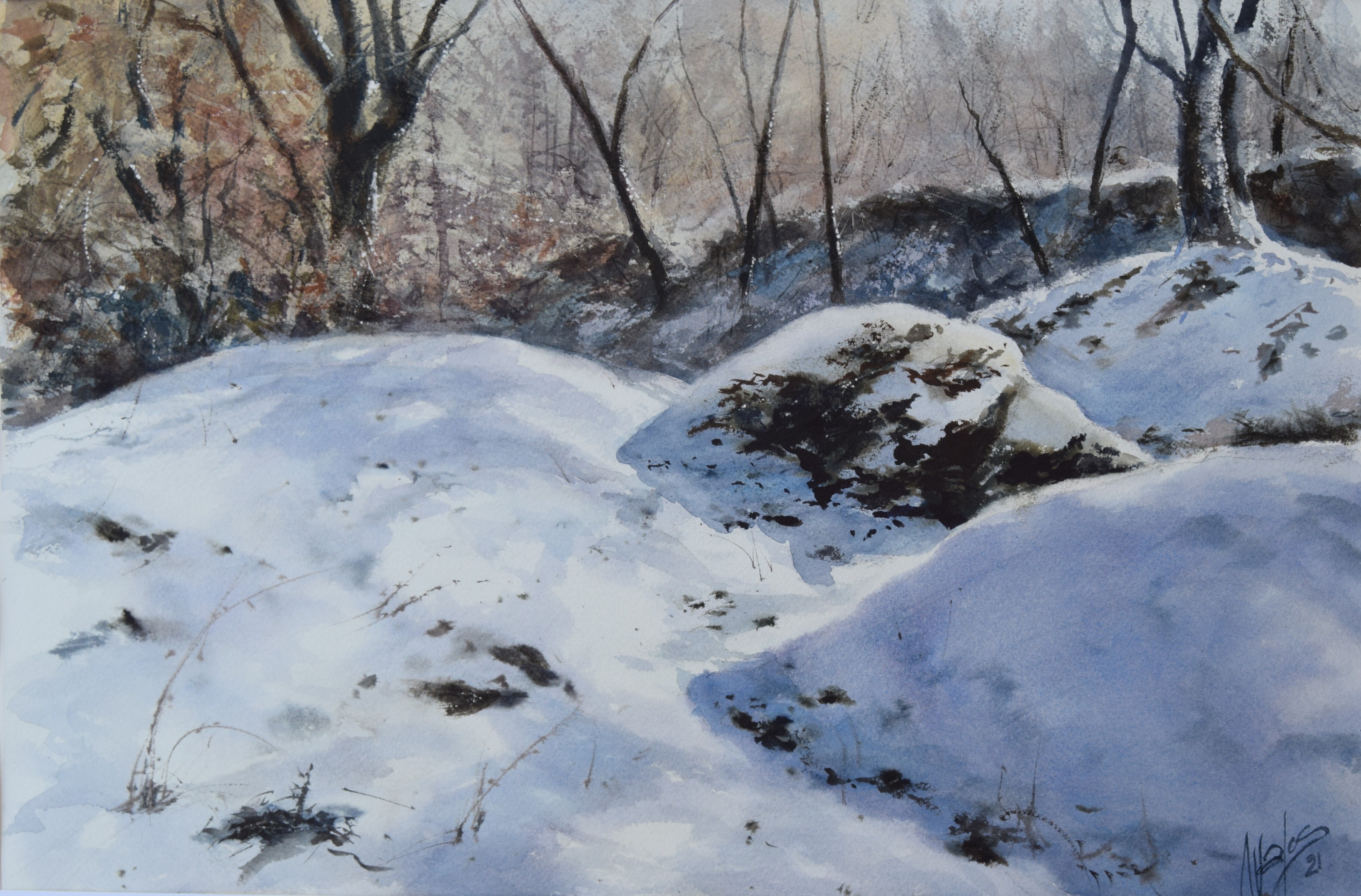 ROBLES Y NIEVE