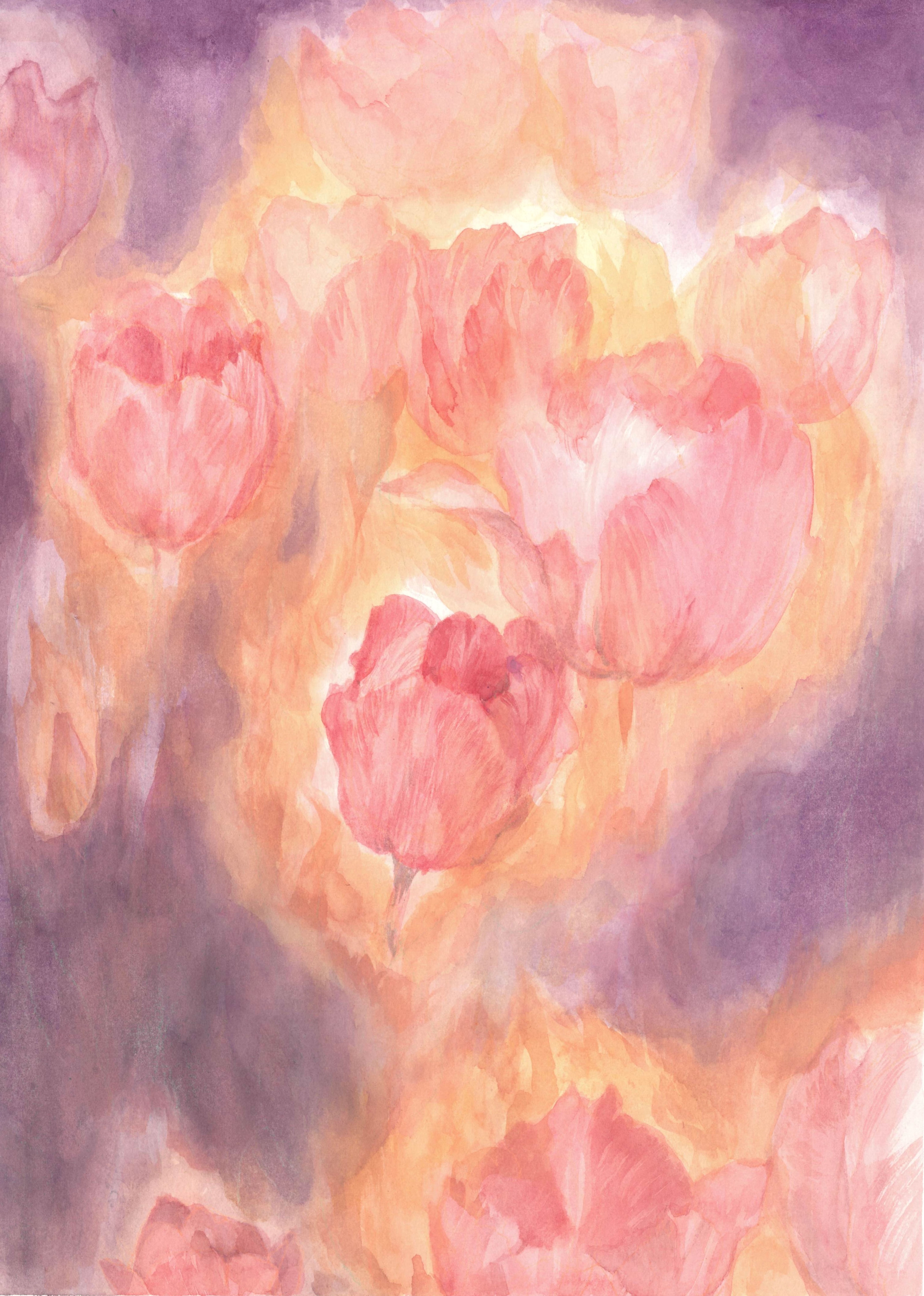Tulips are Whispering
