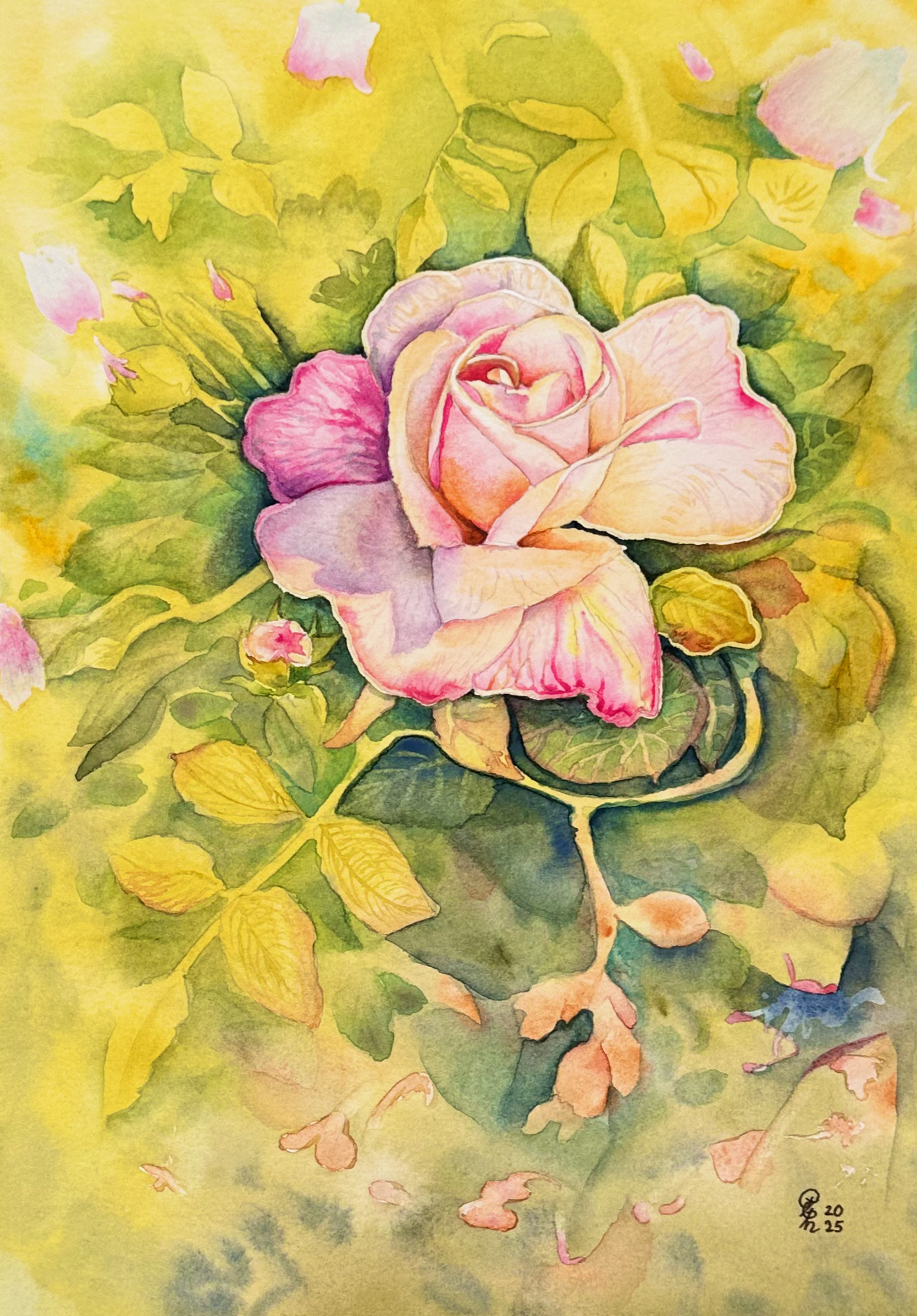 The Last Rose of Summer