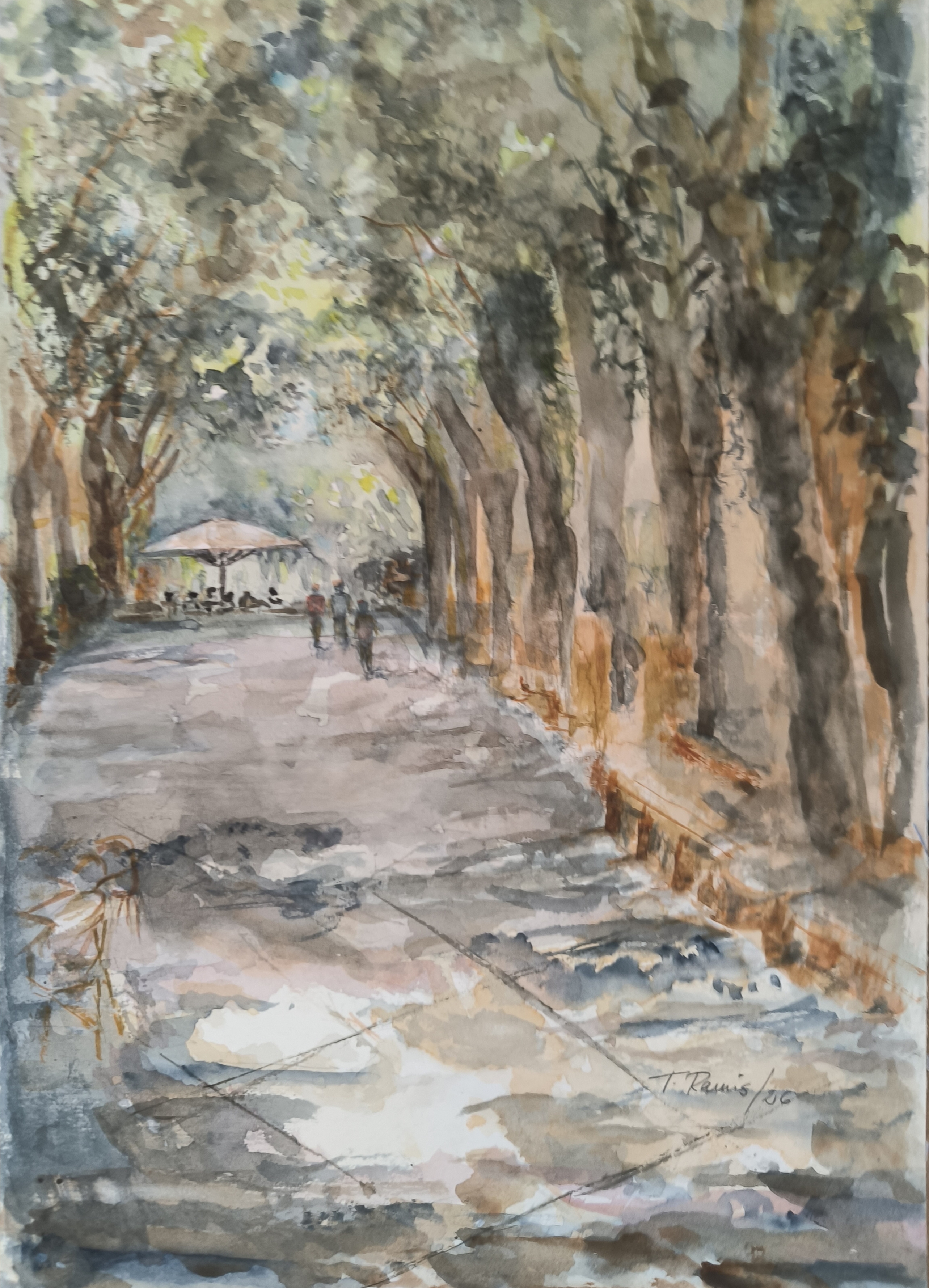 PASEO DE PALMA