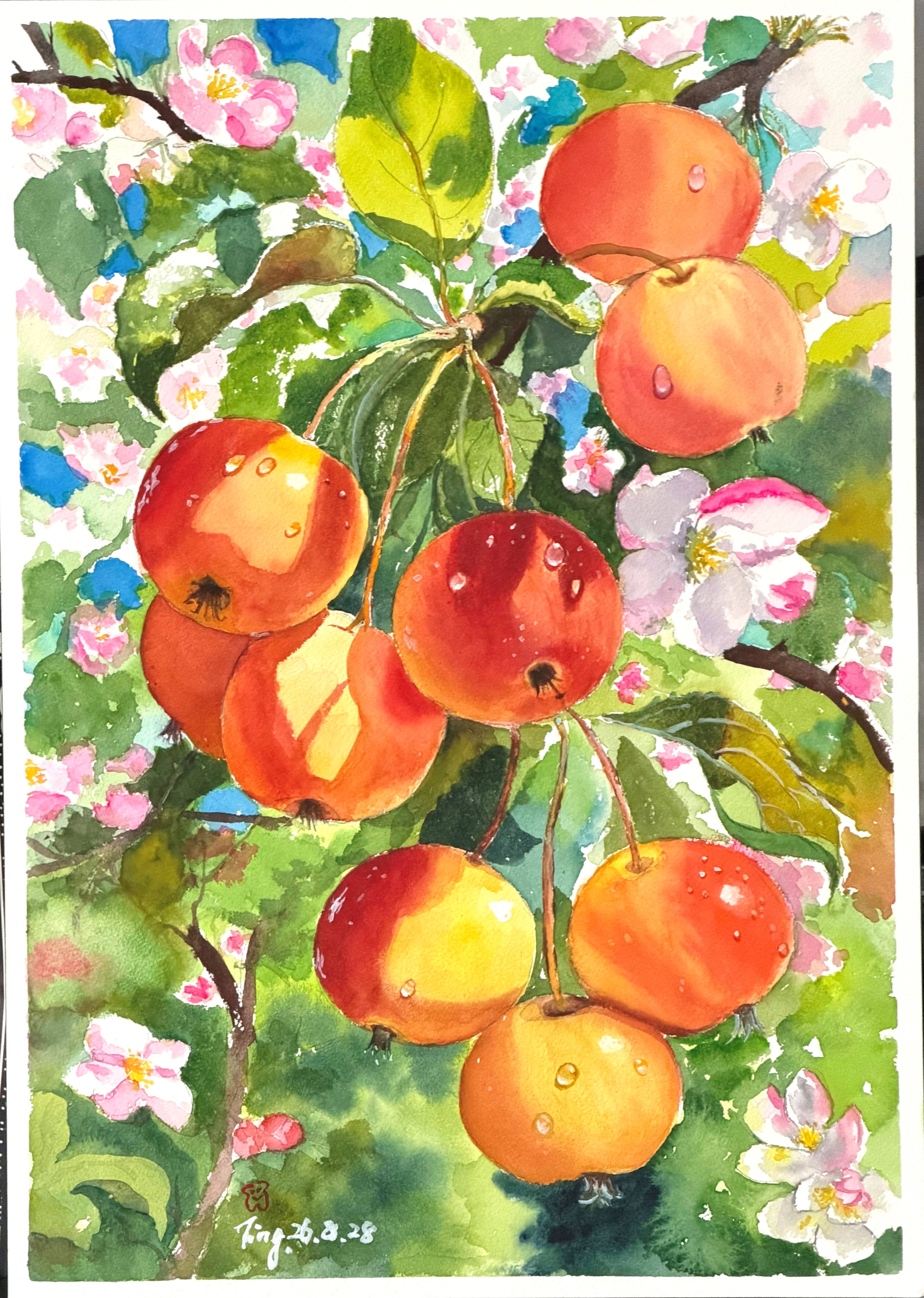 开花结果