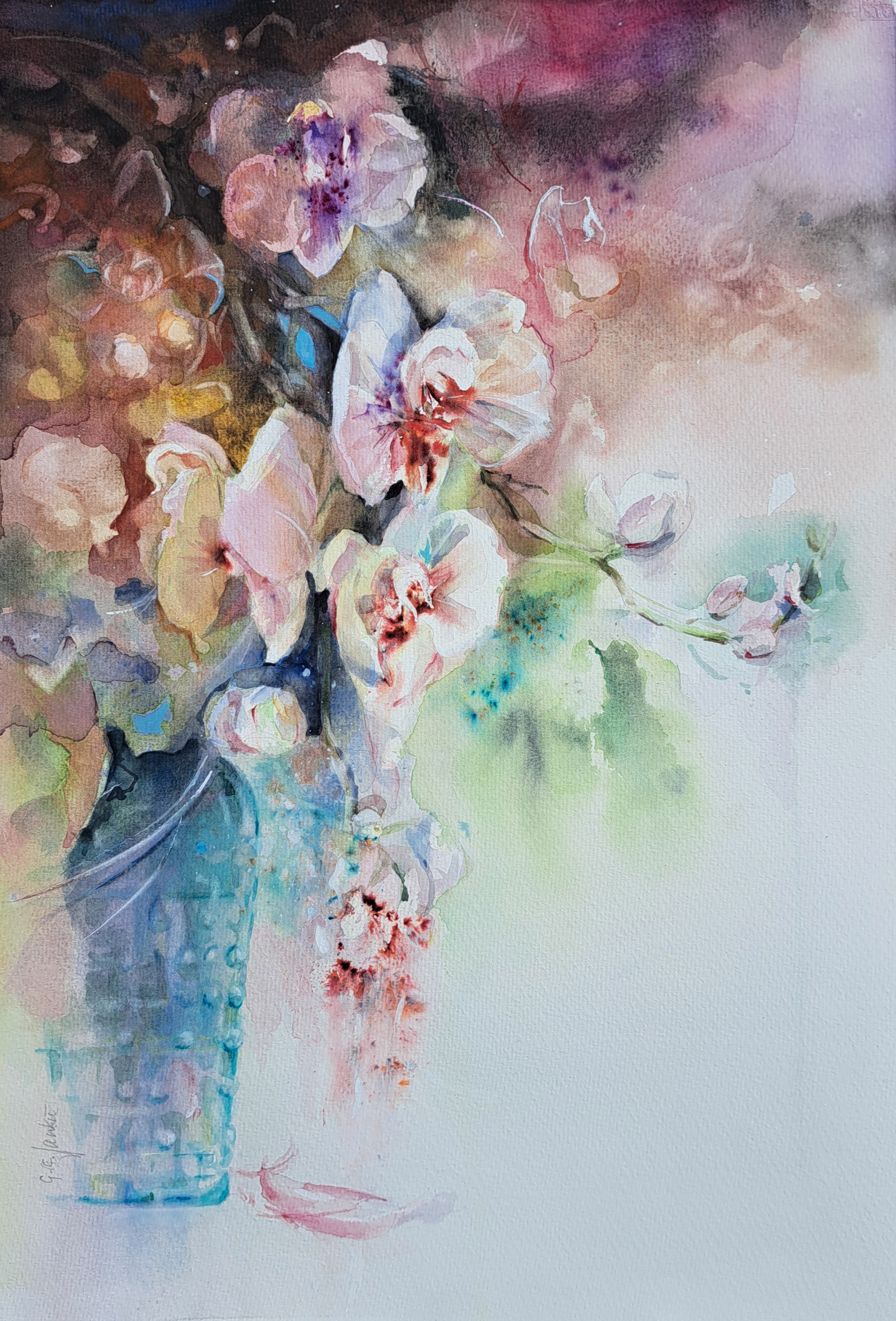 White Orchids