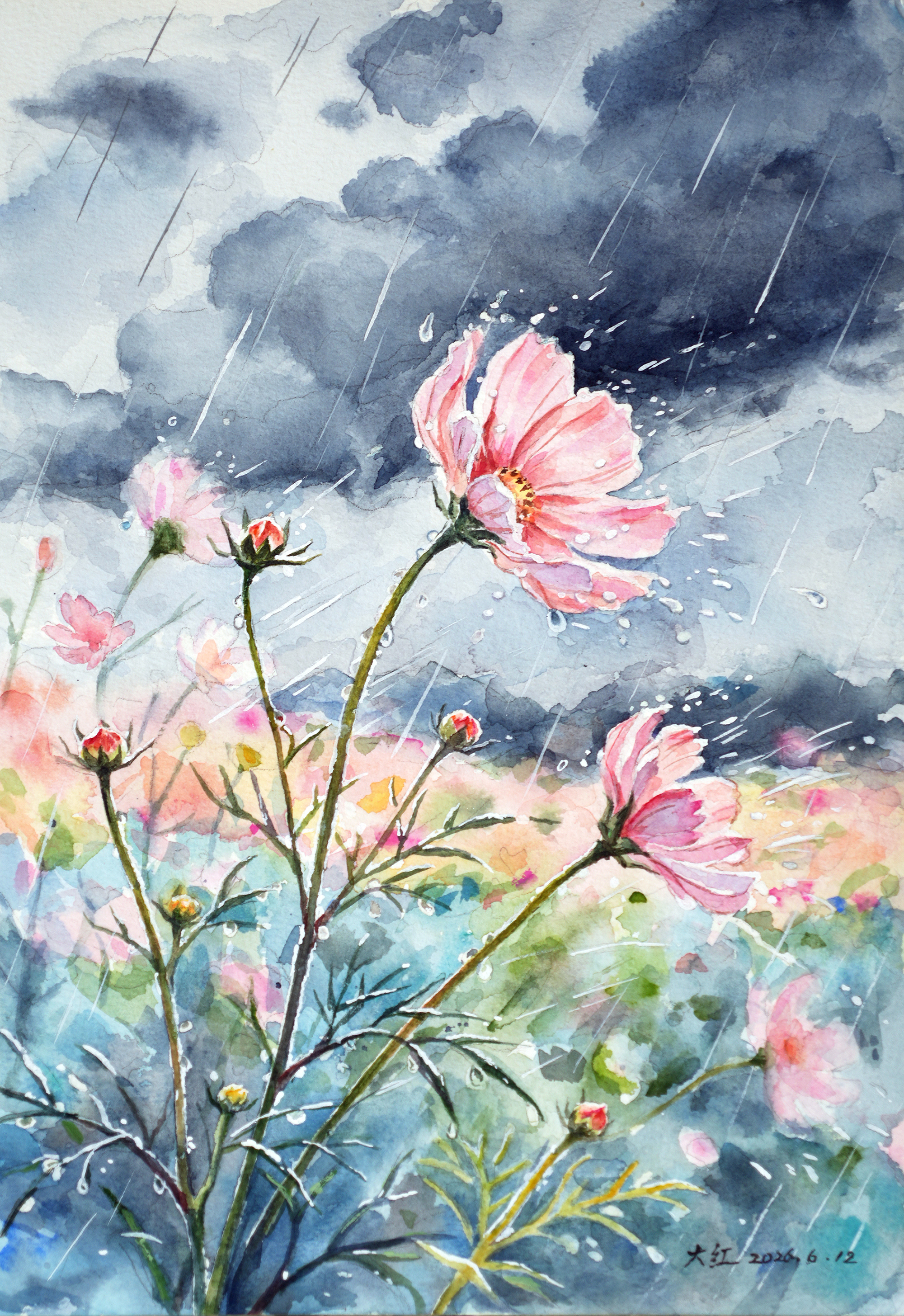 风雨中的格桑花（Galsang Flowers Braving Wind and Rain）