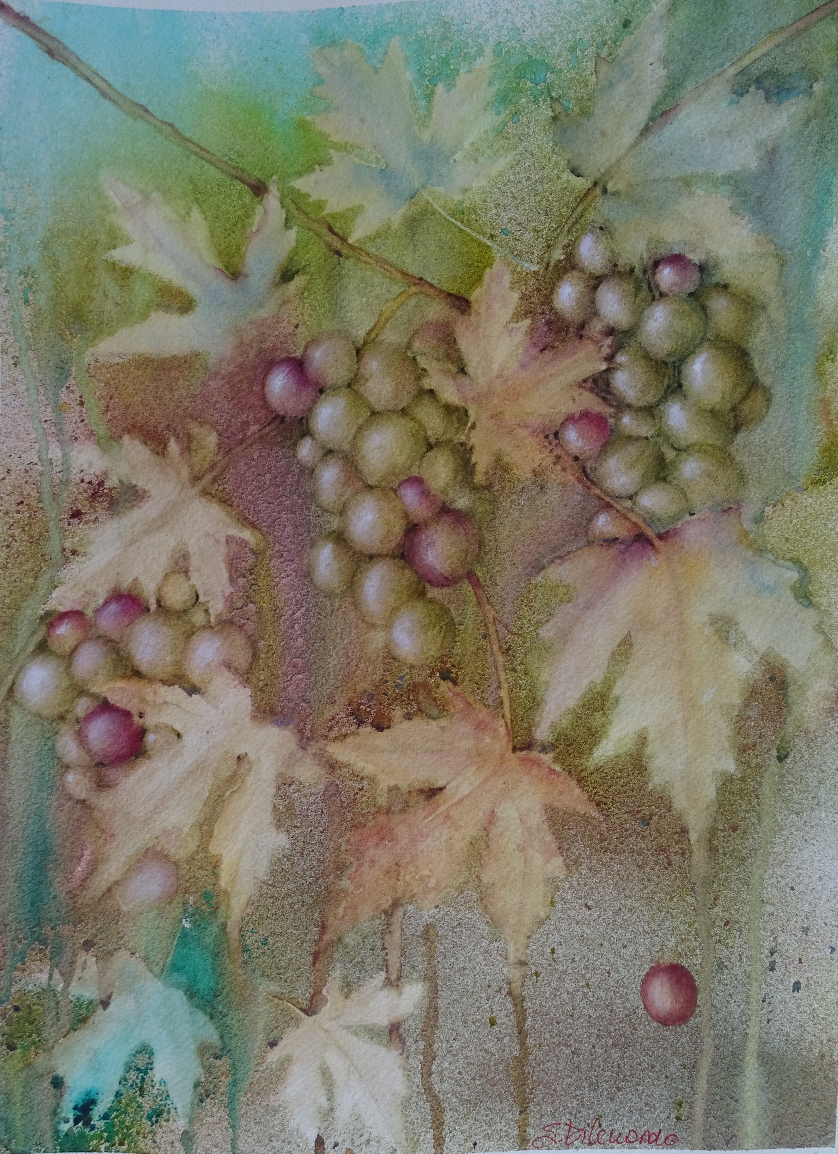 L'acino fuggente (The fleeing grapeberry)