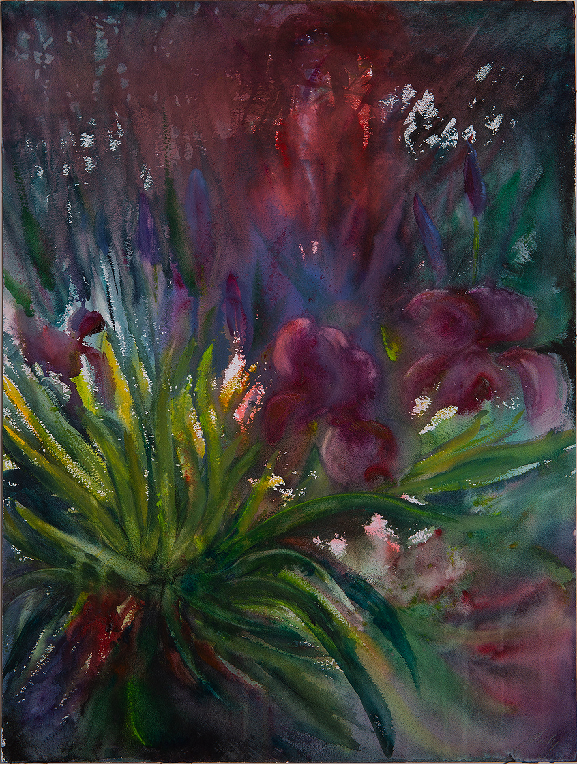 IRIS PASSION