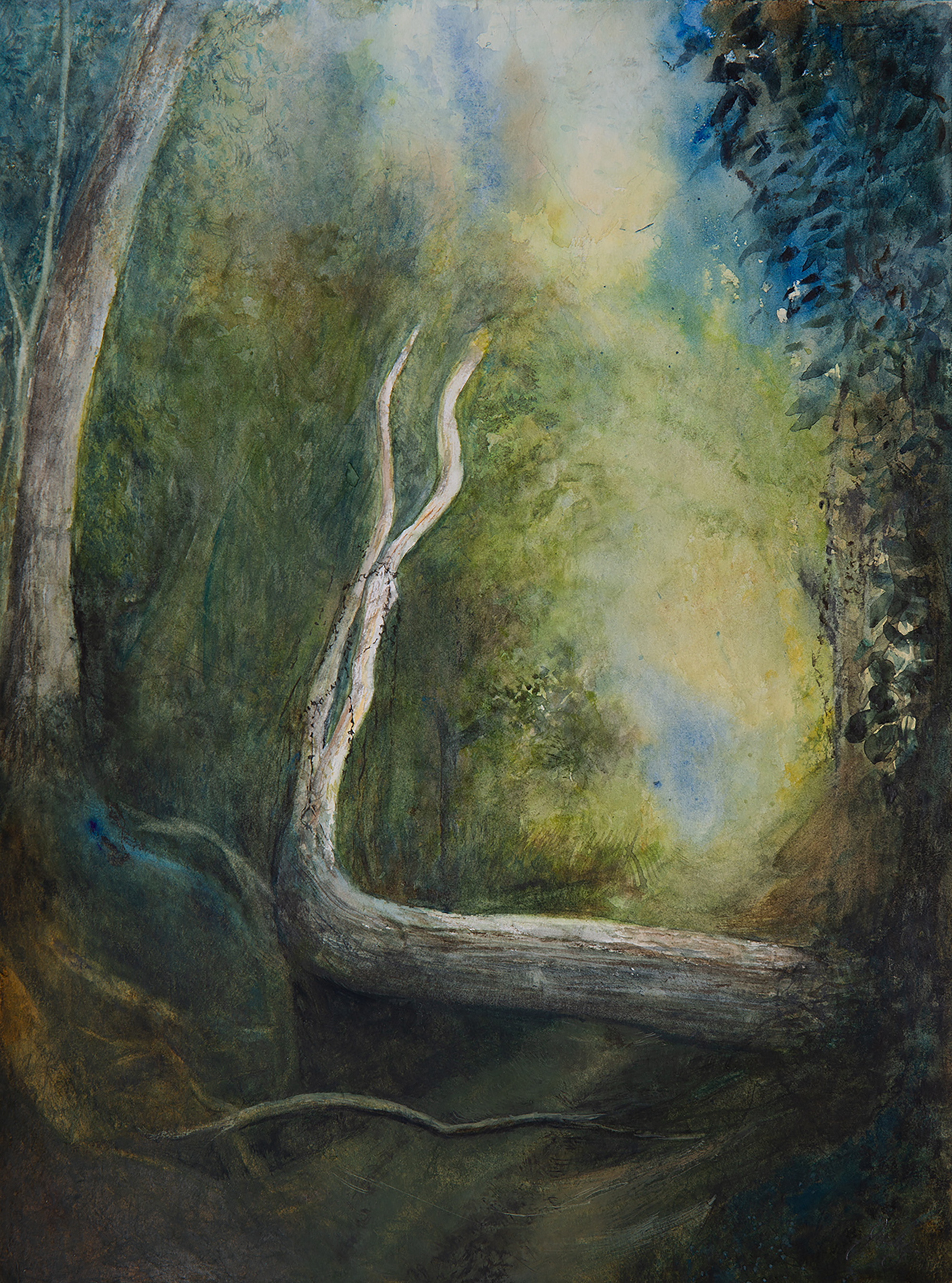 LIFE'S PATHWAY
