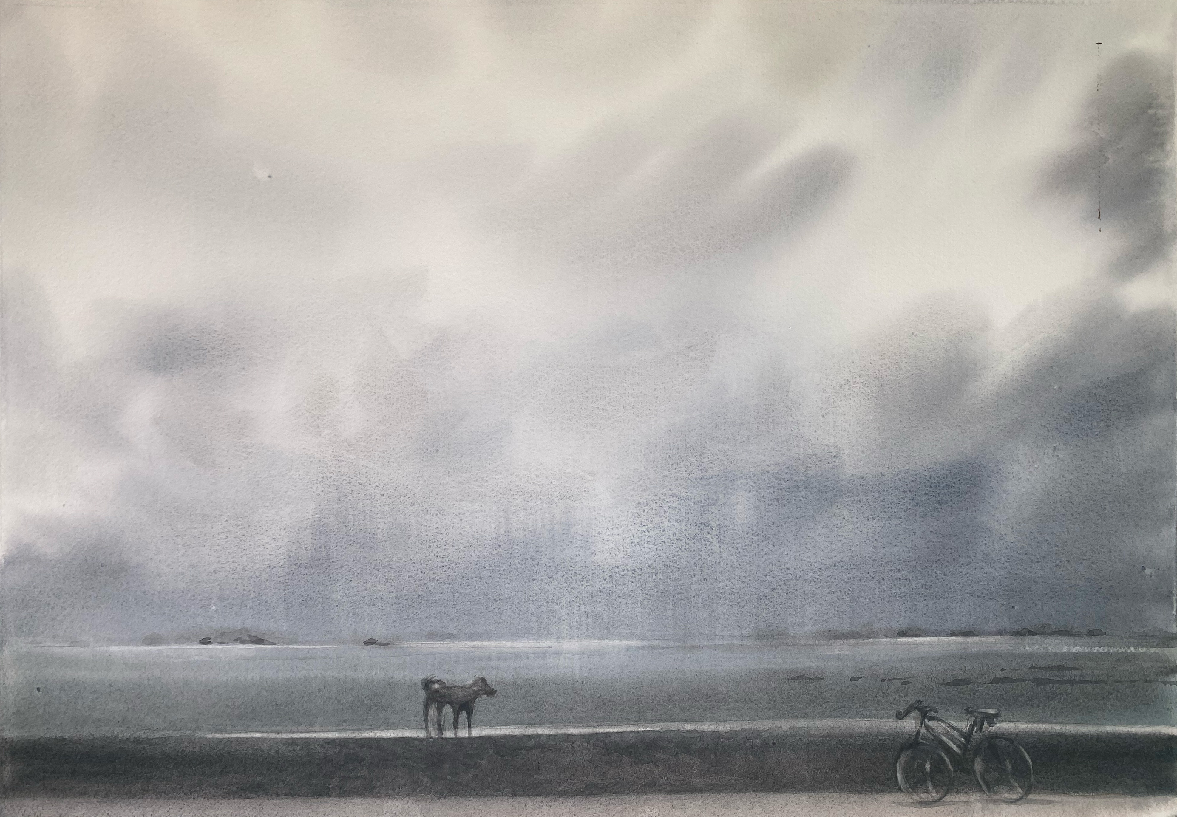 The Distant Shore