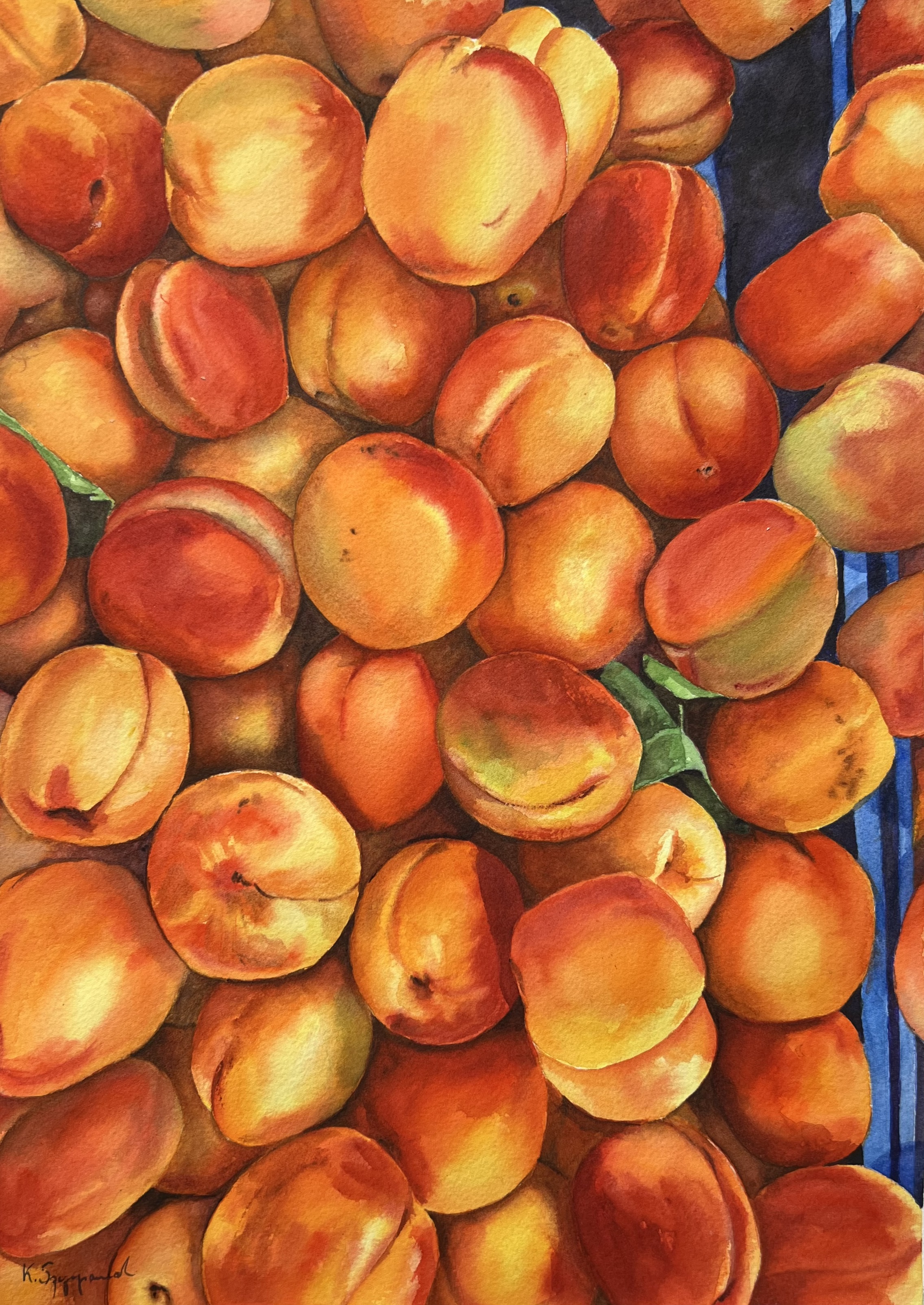 Apricots
