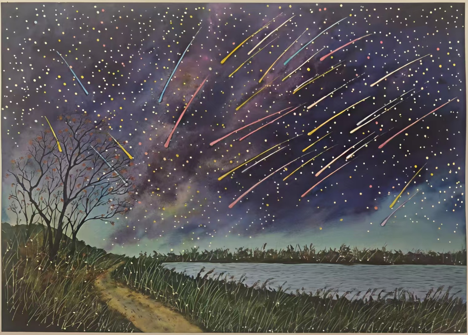 今夜星光灿烂