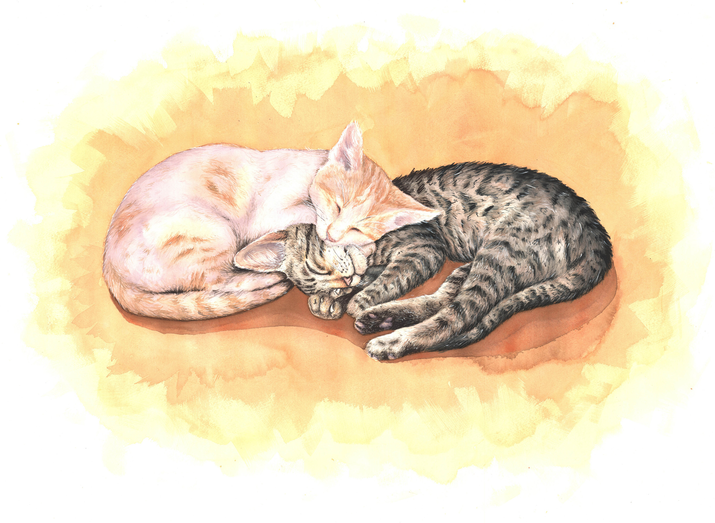 L'amore è universale