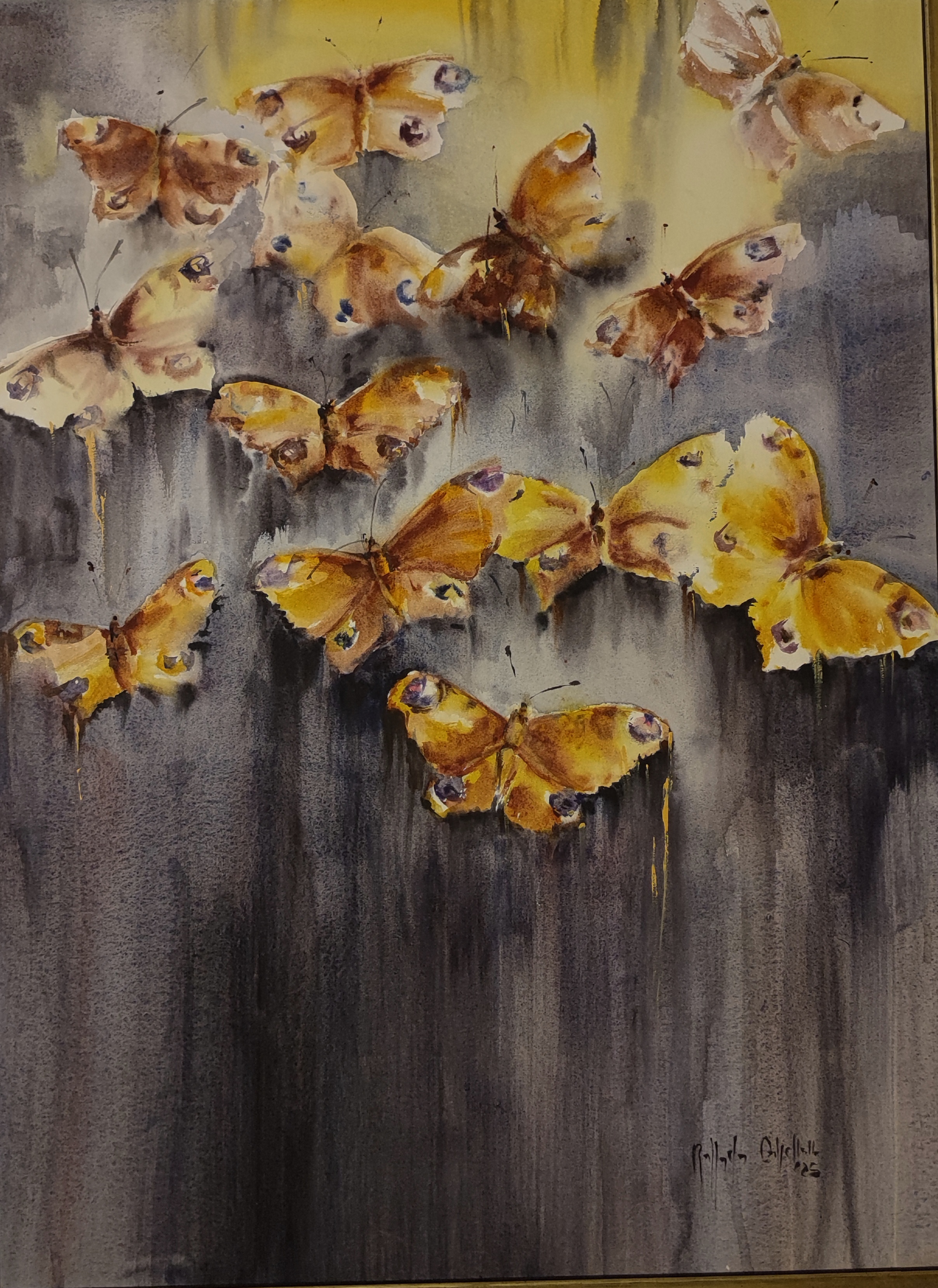 Aglais io su lavanda