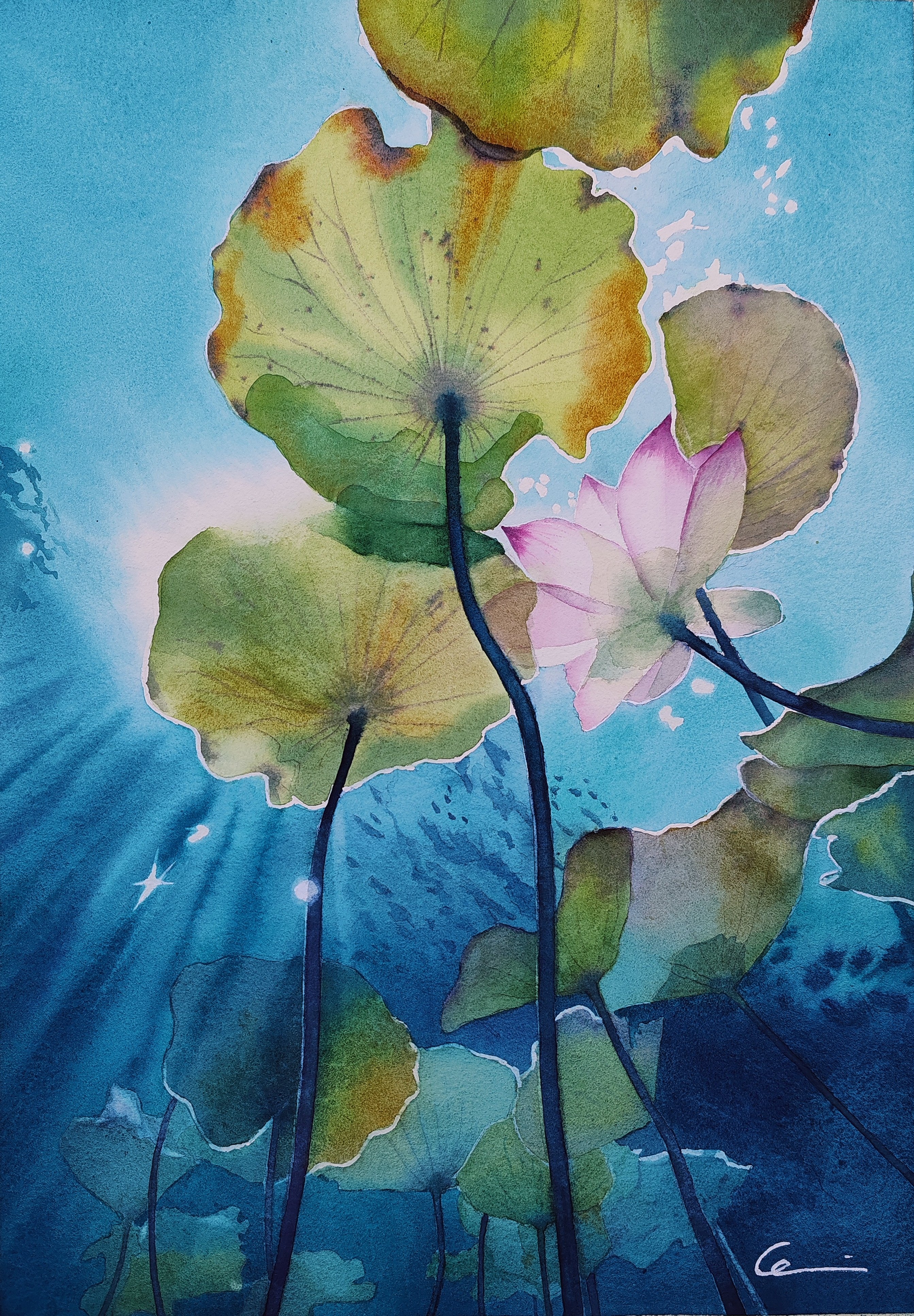 Confine liquido 