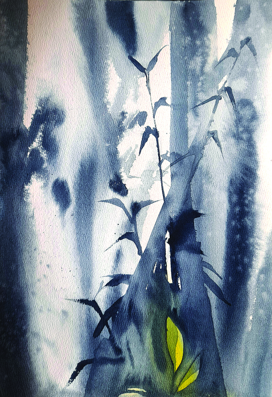 Bamboo impressions